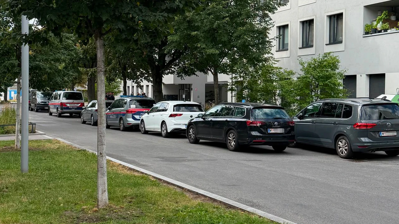 Heute.at - Streit um 4 Uhr früh – wenig später ist Wiener tot