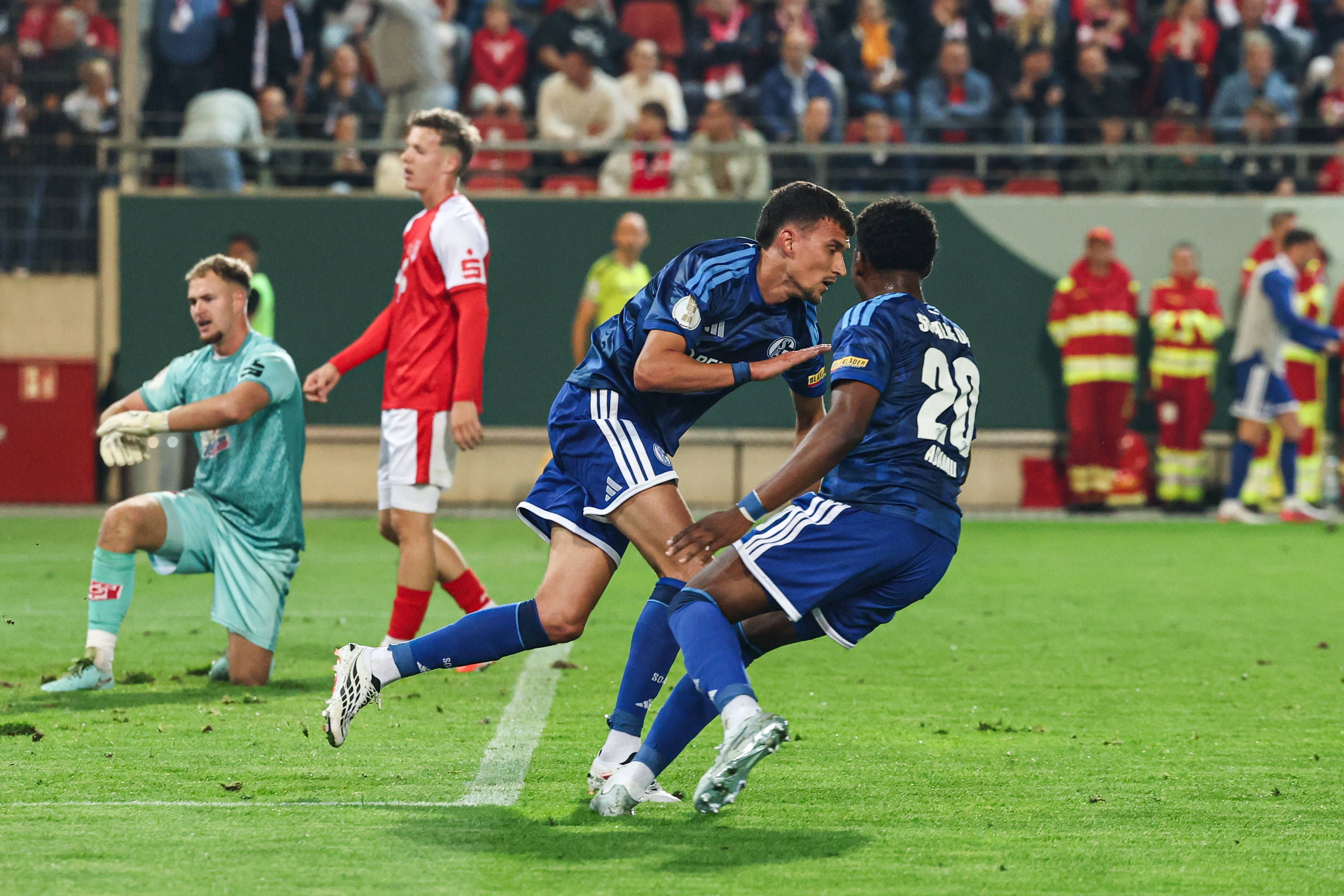 Ljubicic leitete mit seinem Treffer die Wende für Schalke ein.