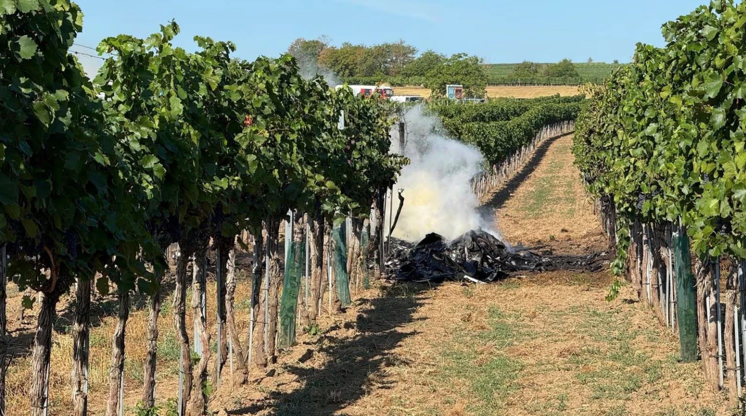Kleinflugzeuge kollidieren in Niederösterreich – Tote