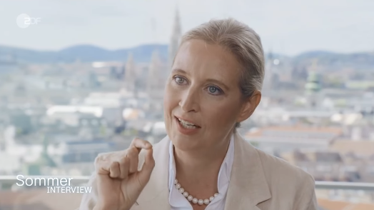 Alice Weidel gab dem ZDF das Interview in Wien. 