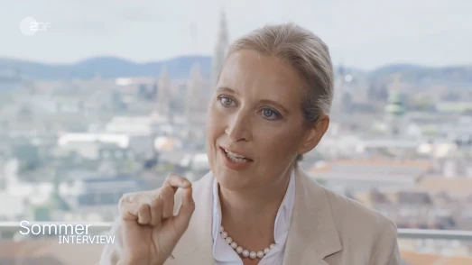 Heute.at - Wüste Weidel-Attacke: Politiker sind Flachzangen