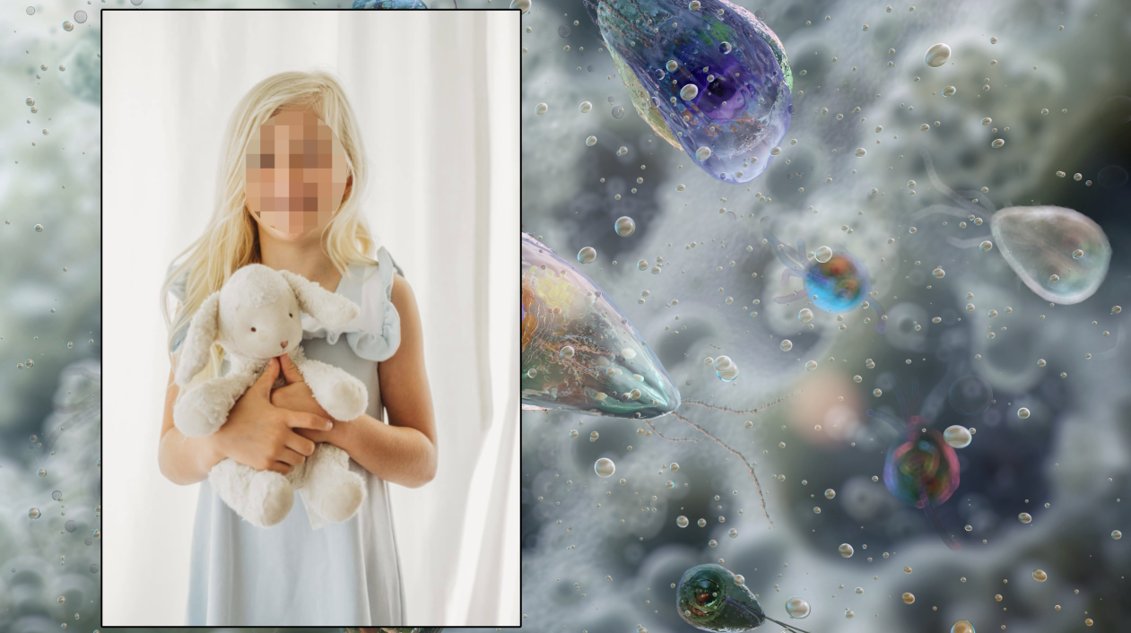 Heute.at - Mädchen stirbt nach Infektion mit Hirnfresser-Amöbe