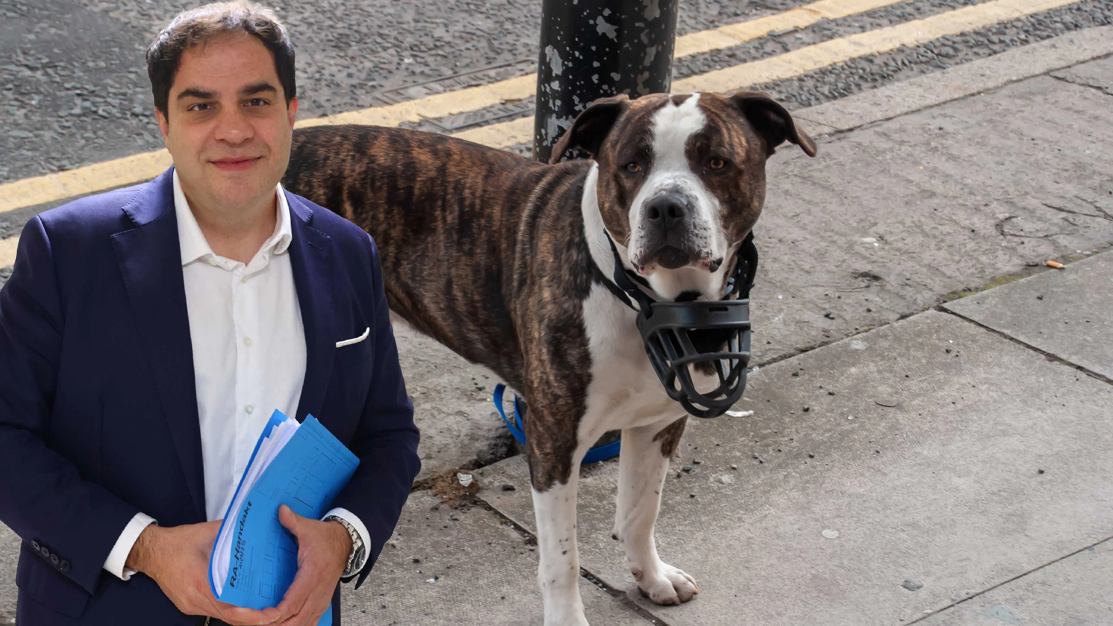 Top-Anwalt Sascha Flatz vertritt in der Pitbull-Causa am Wiener Landl. 