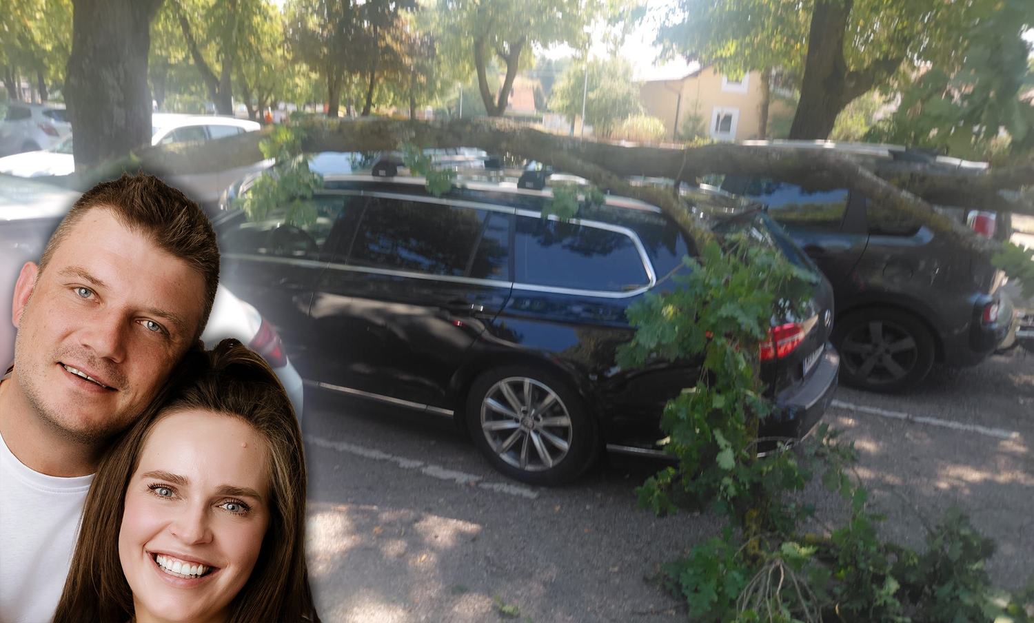 Heute.at - Ast zerstört Familienauto – doch zahlen will niemand