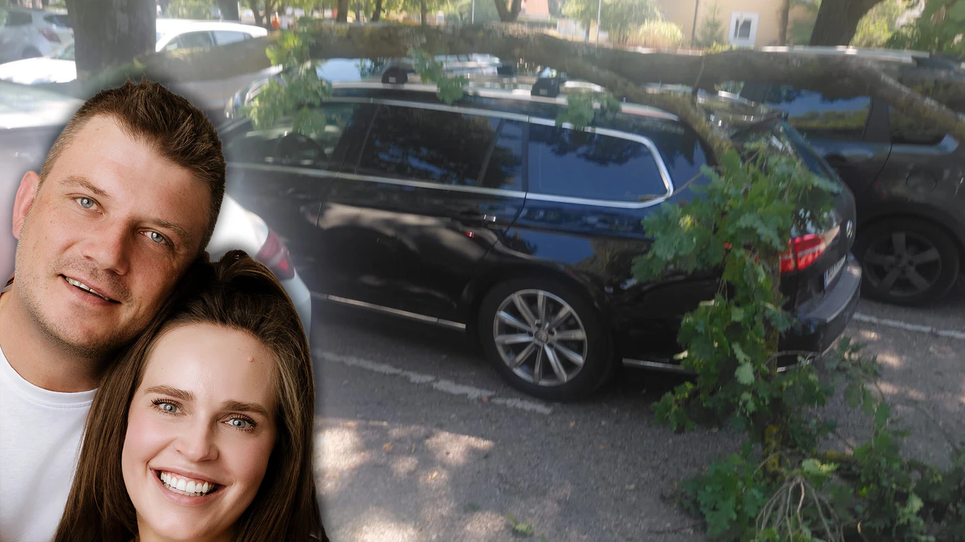 Heute.at - Ast zerstört Familienauto – doch zahlen will niemand