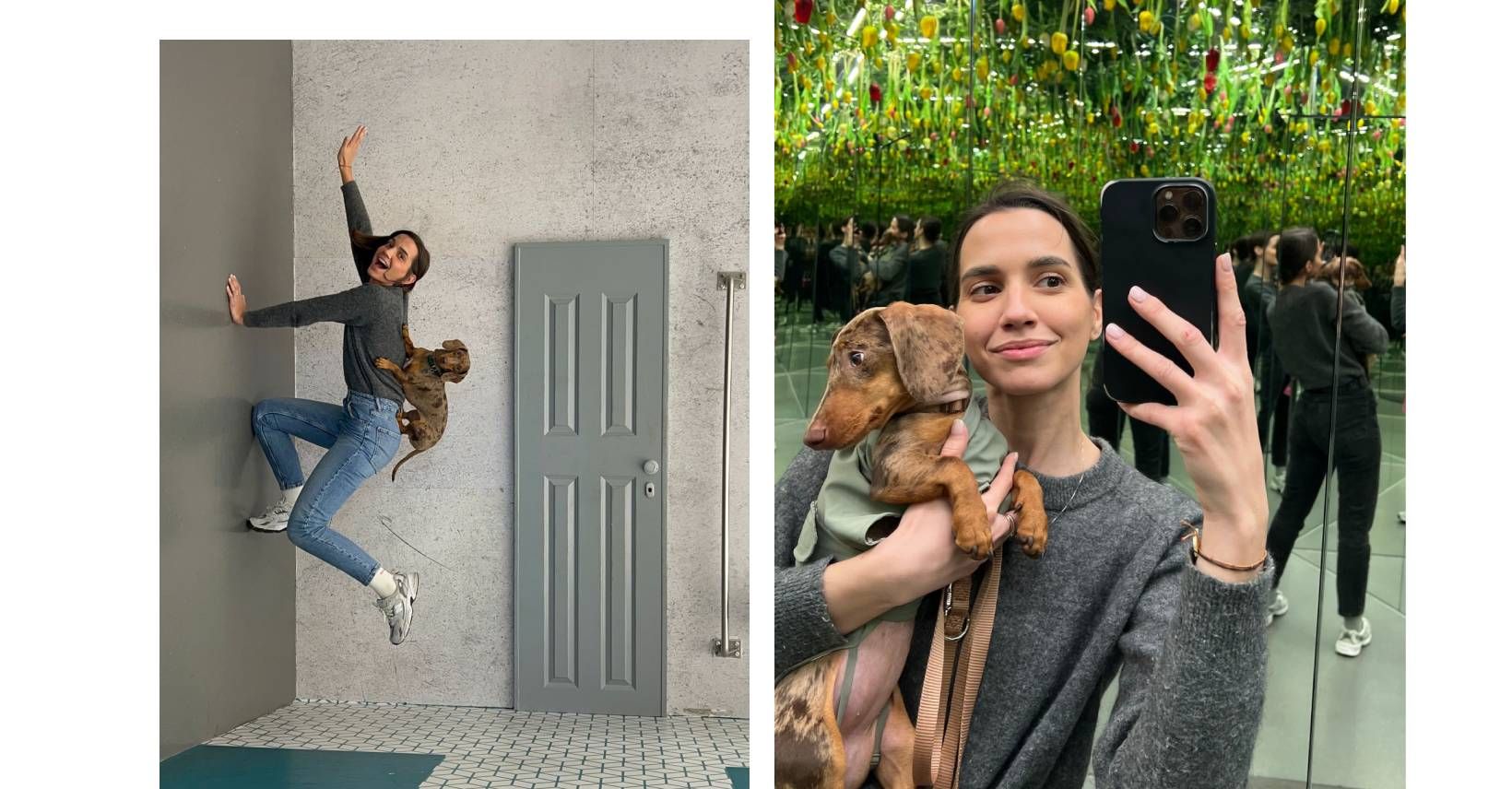 Heute.at - Wiener Museum macht Ausnahme – jetzt dürfen Hunde rein