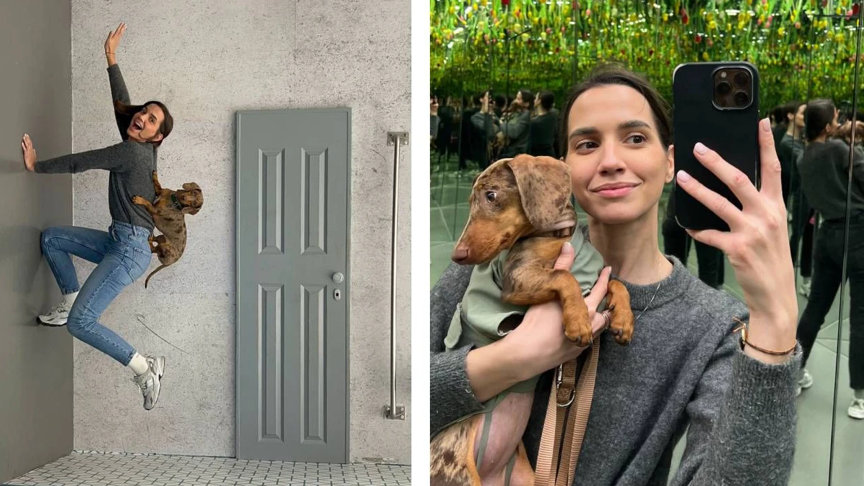 Heute.at - Wiener Museum macht Ausnahme – jetzt dürfen Hunde rein