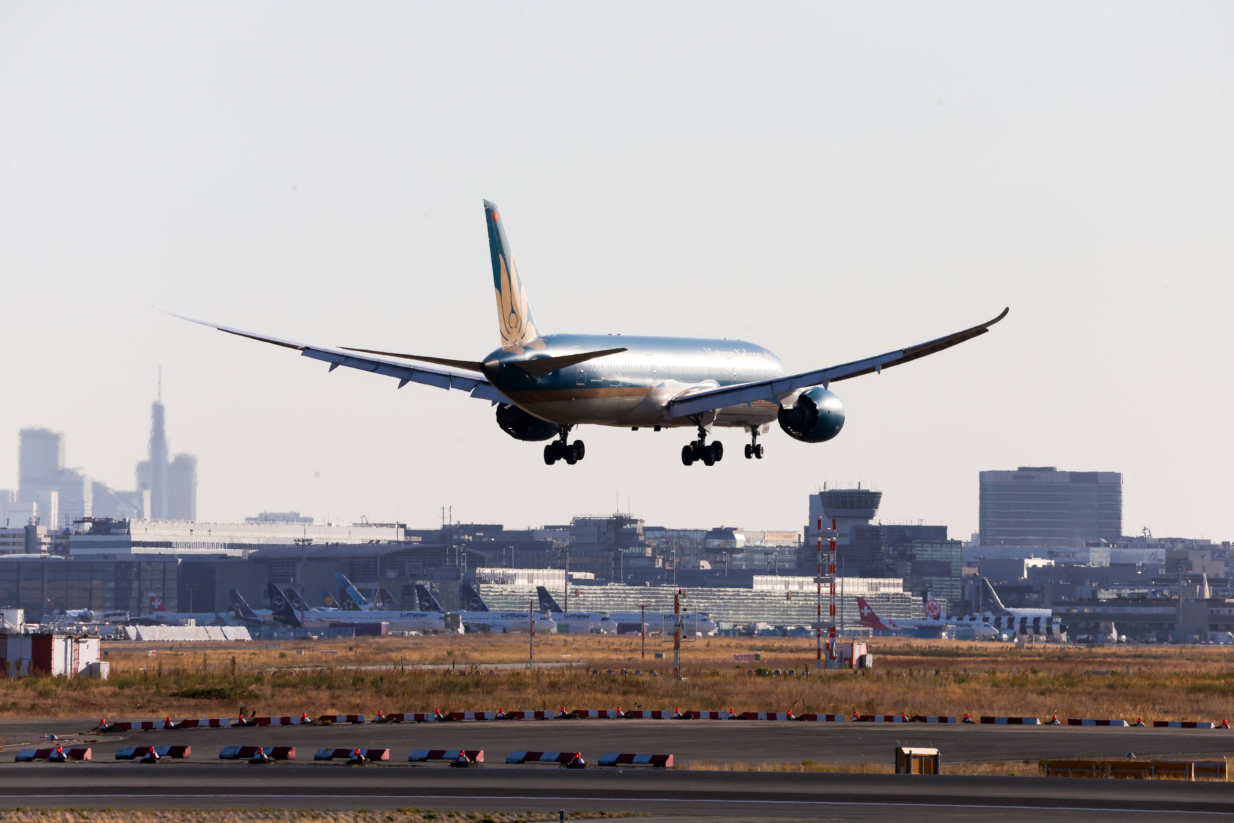 Die Mücke kam mit einem Flugzeug nach Deutschland.