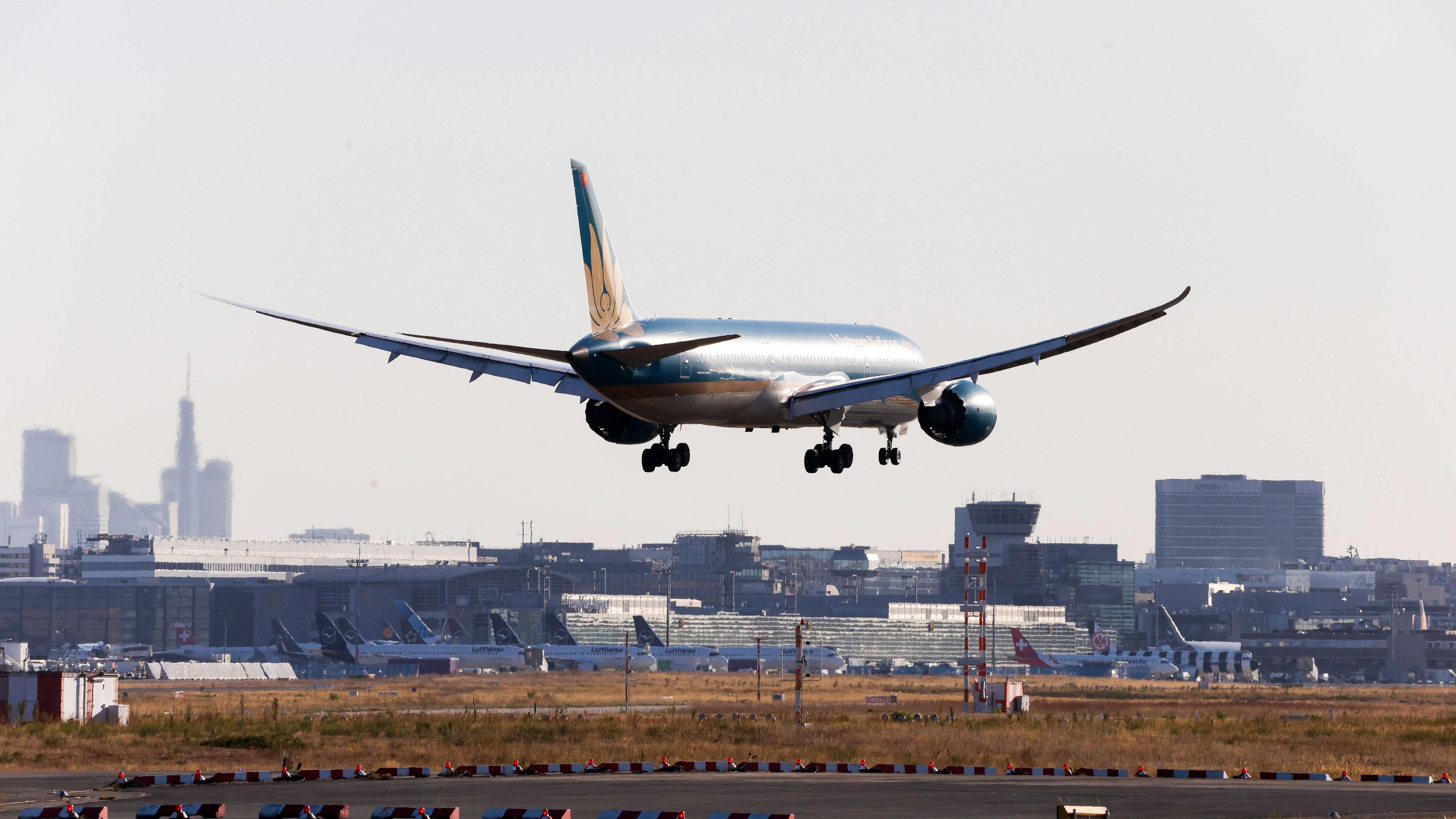 Die Mücke kam mit einem Flugzeug nach Deutschland.