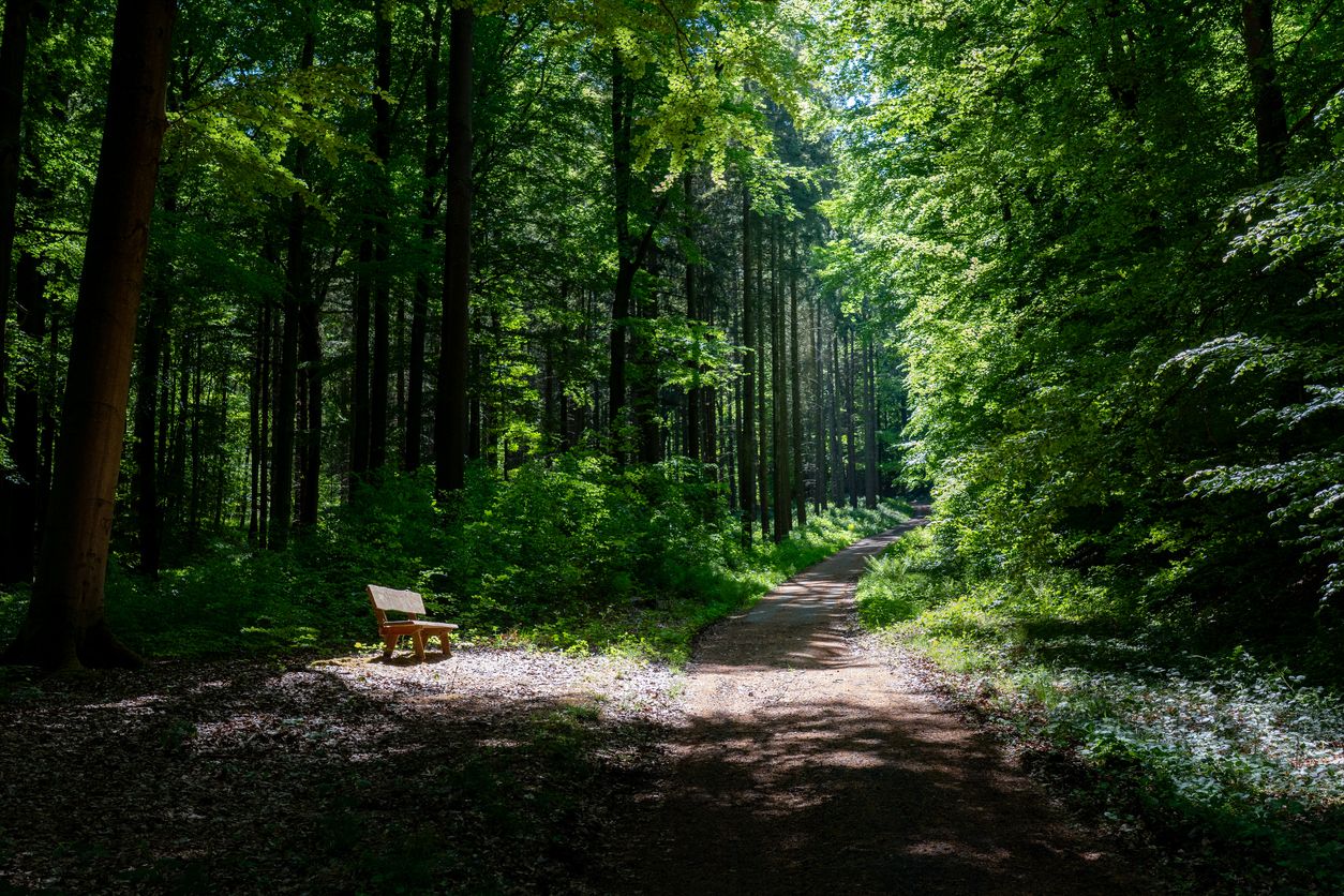 Der Bub wurde von seiner Mutter im Wald ausgesetzt – und zwar nackt.