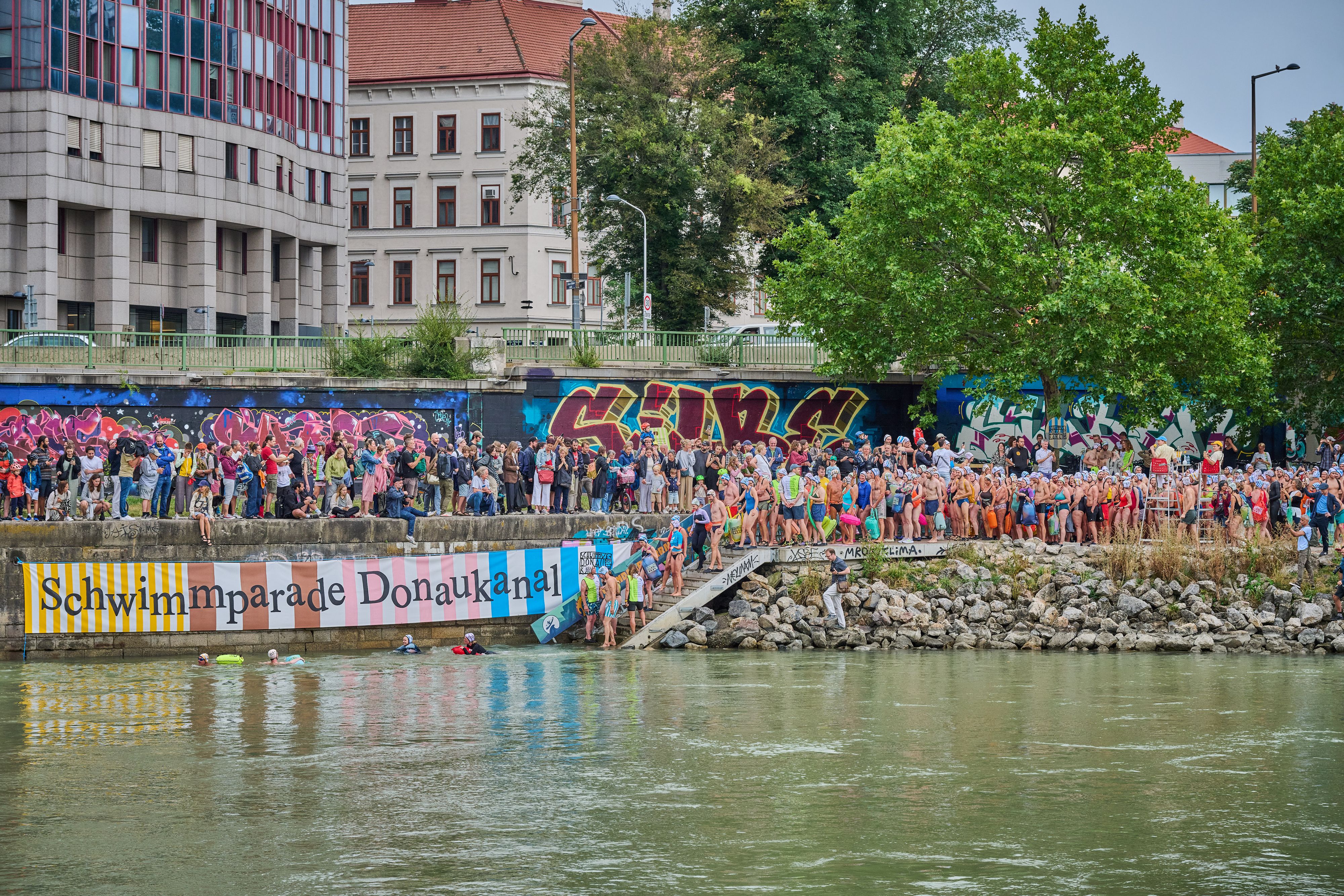 Heute.at - 300 Schwimmer stürzen sich in den Donaukanal