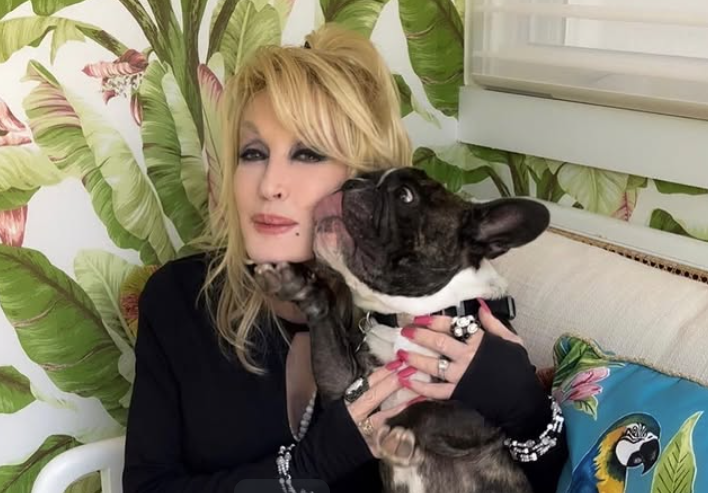 Heute.at - Fans bange: Was passiert mit Dolly Partons Hund Billy?