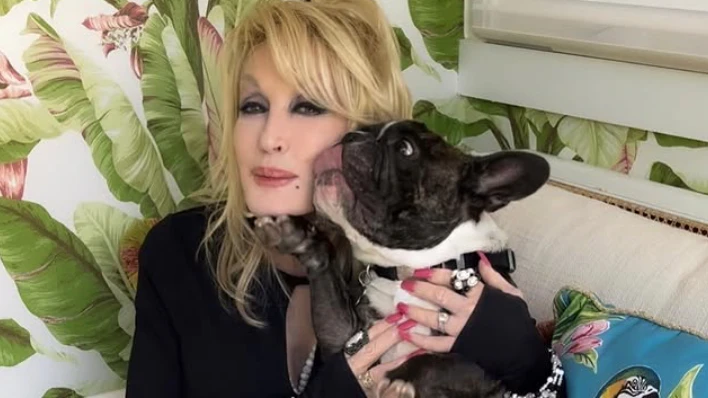 Heute.at - Fans bange: Was passiert mit Dolly Partons Hund Billy?