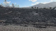 Hawk-Feuer vernichtet über 60 Quadratkilometer