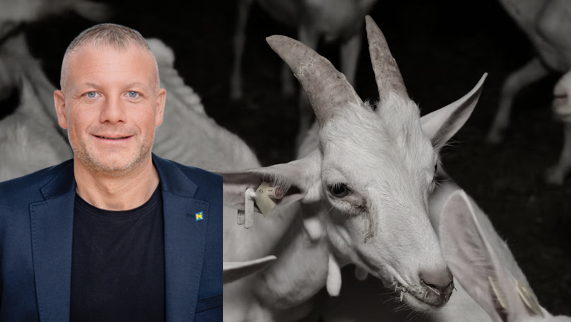 Heute.at - Horror-Bilder: Grüne fordern Sofort-Aus für Skandalhof
