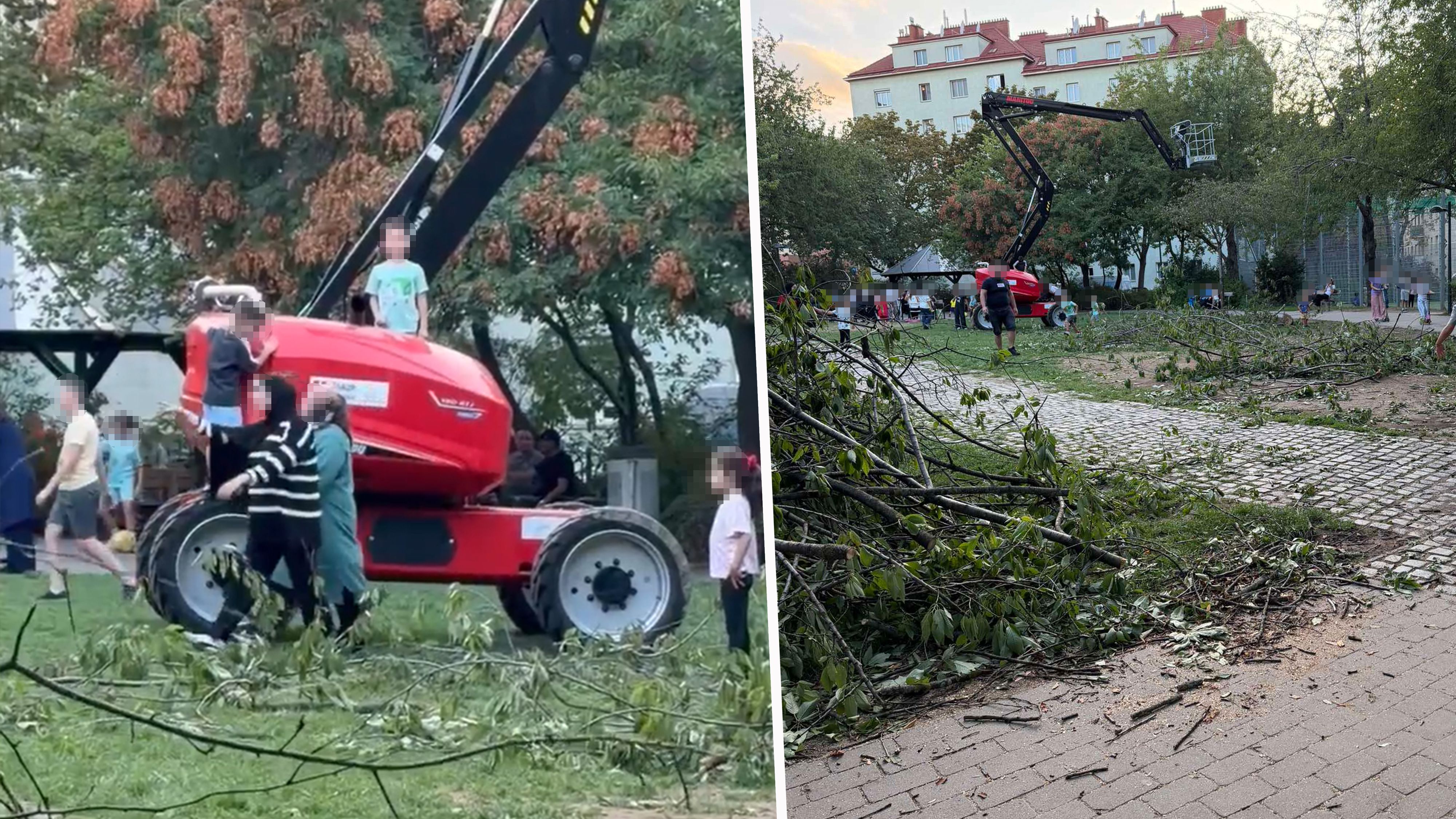 Heute.at - Wiener können nicht fassen, was sie in Park sehen