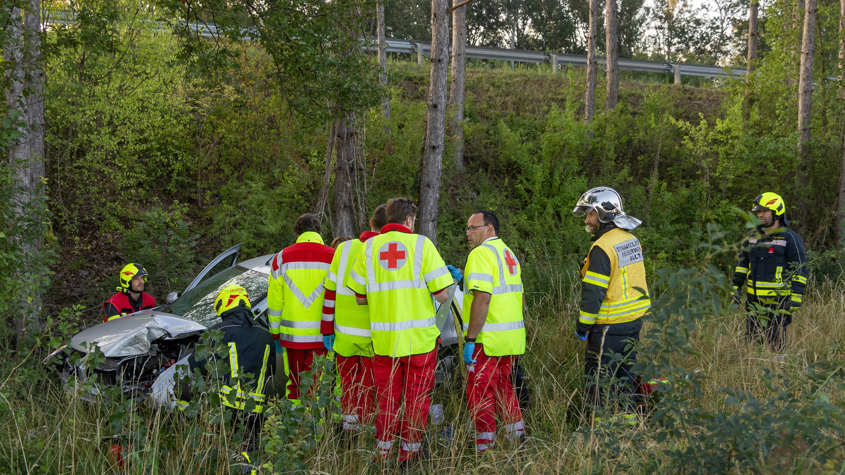 Heute.at - Mit Baum kollidiert: Frau (47) wurde schwer verletzt