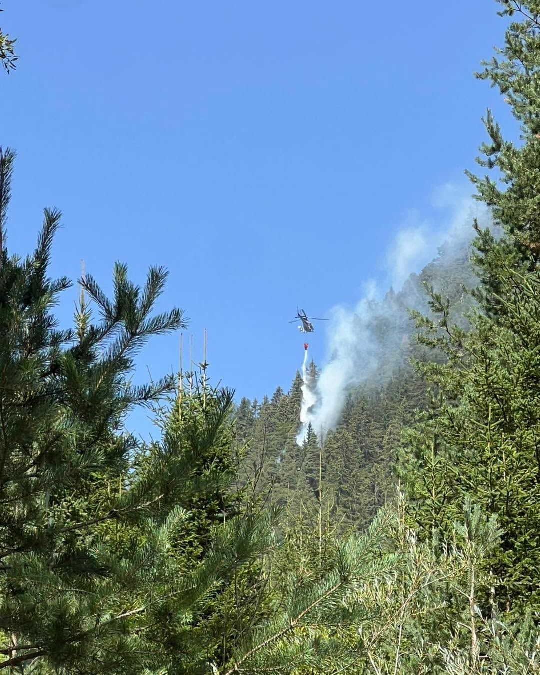 Heute.at - Kampf gegen Waldbrand: Feuerwehr stundenlang im Einsatz