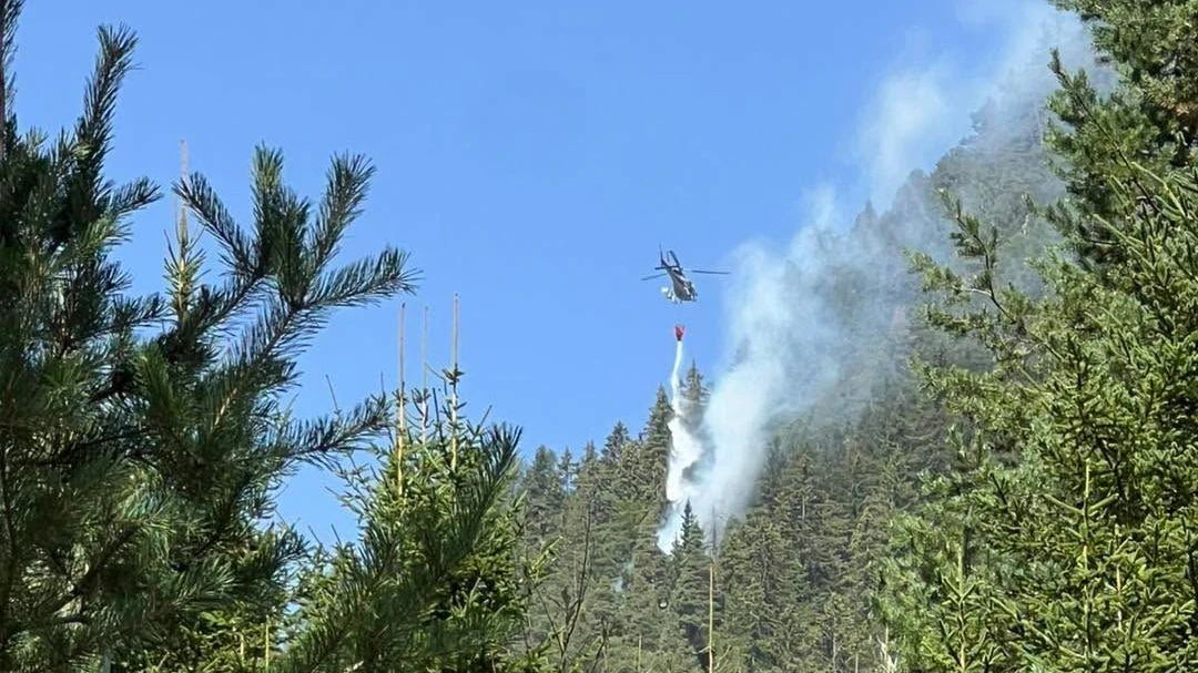 Heute.at - Kampf gegen Waldbrand: Feuerwehr stundenlang im Einsatz