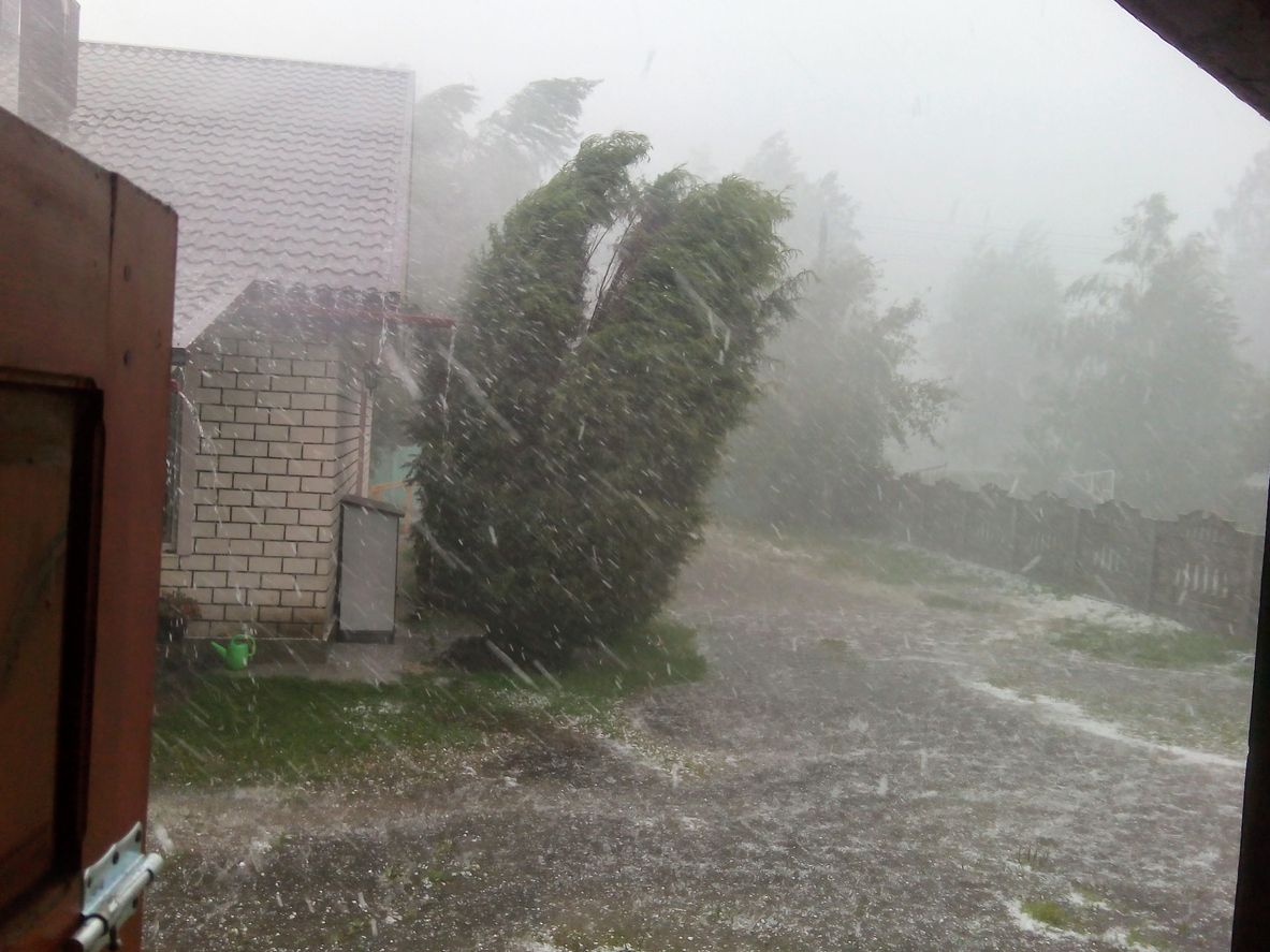 Im Laufe des Abends und in der Nacht breiten sich die Gewitter weiter aus und können auch den Osten erreichen.