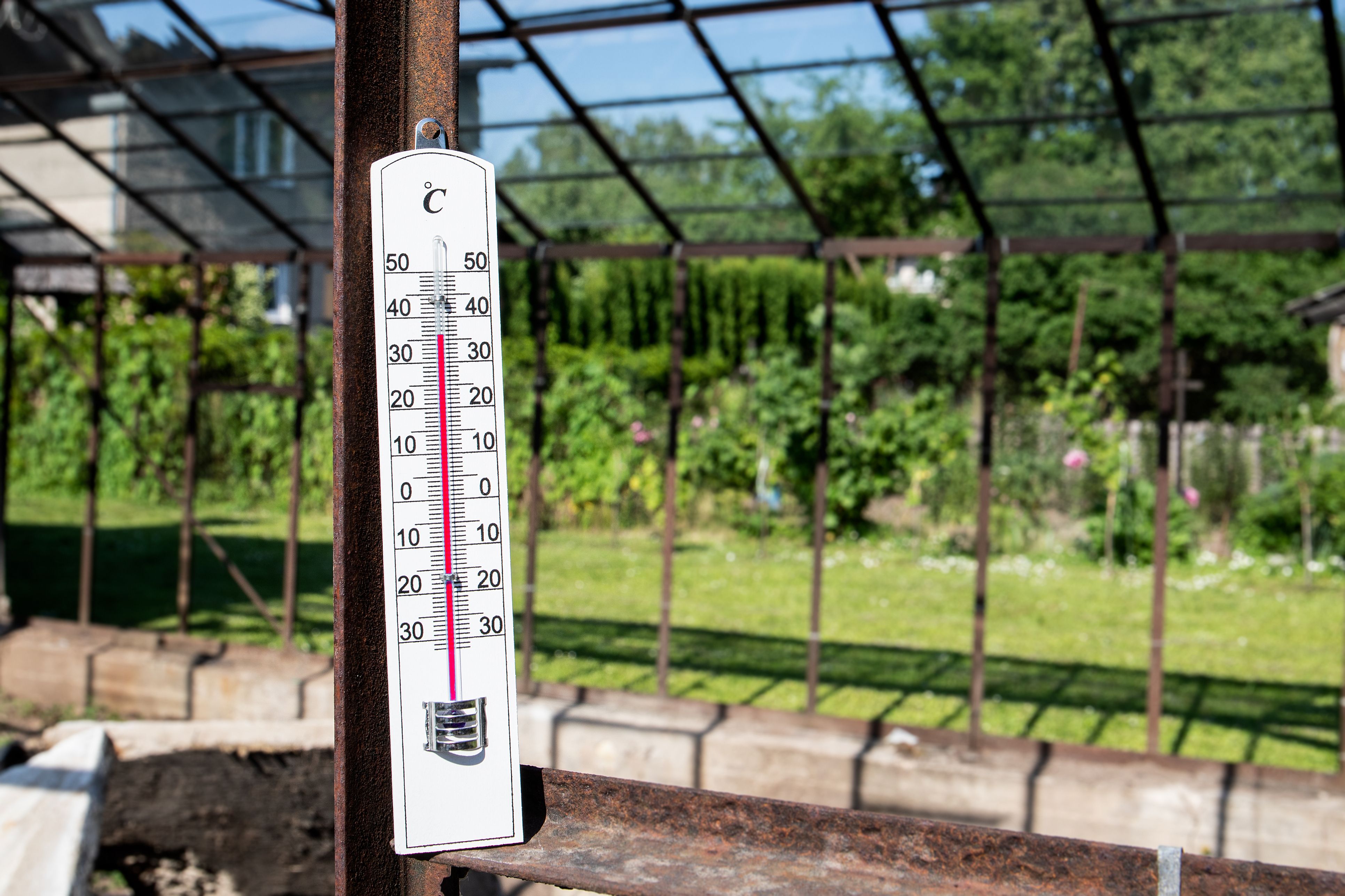 Heute.at - 50 Grad im Glashaus! Trotzdem mussten Arbeiter schuften