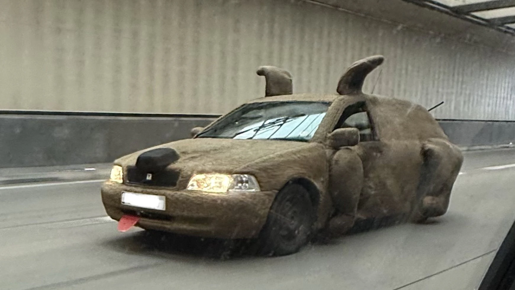 Heute.at - Dumm und Dümmer – Kult-Kombi sorgt für Aufsehen