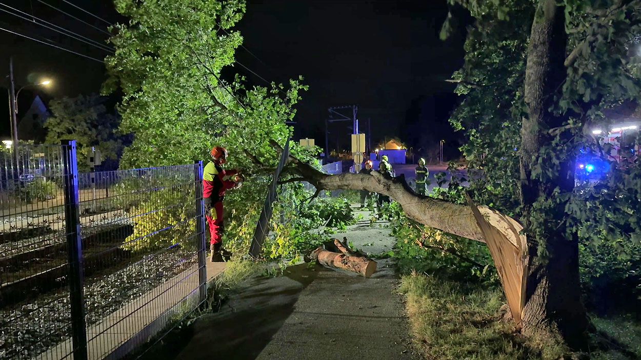 Nächtlicher Sturm sorgte für Feuerwehreinsätze 
