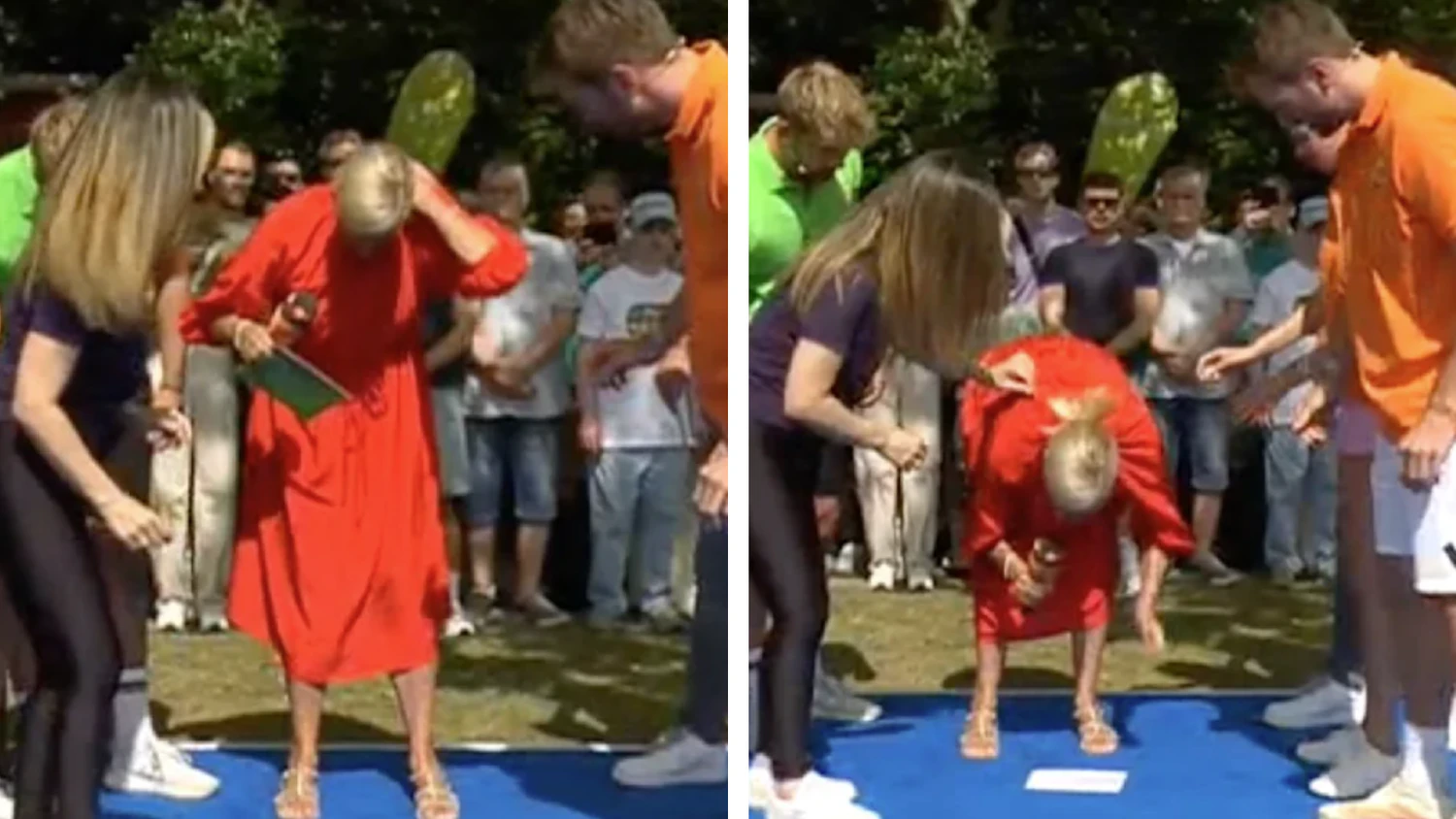 Eine Biene flog in Kiwis Kleid.