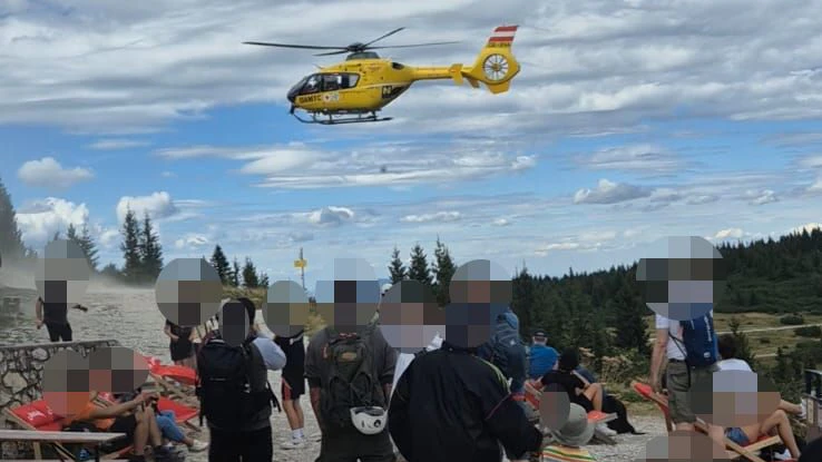 Von giftiger Pflanze gekostet! 16-Jähriger im Spital