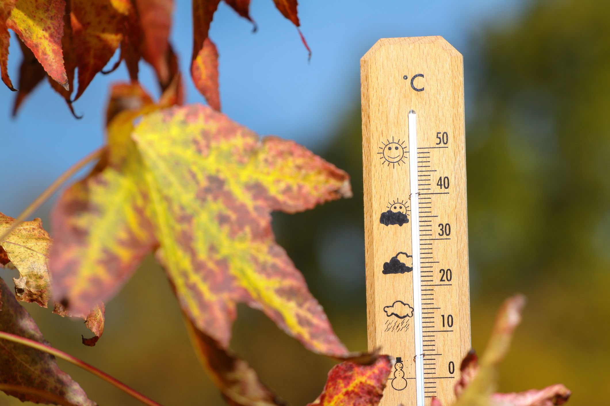 Der Ägidius-Tag am 1. September gilt laut alter Bauernregel als Wetter-Orakel für den gesamten September.