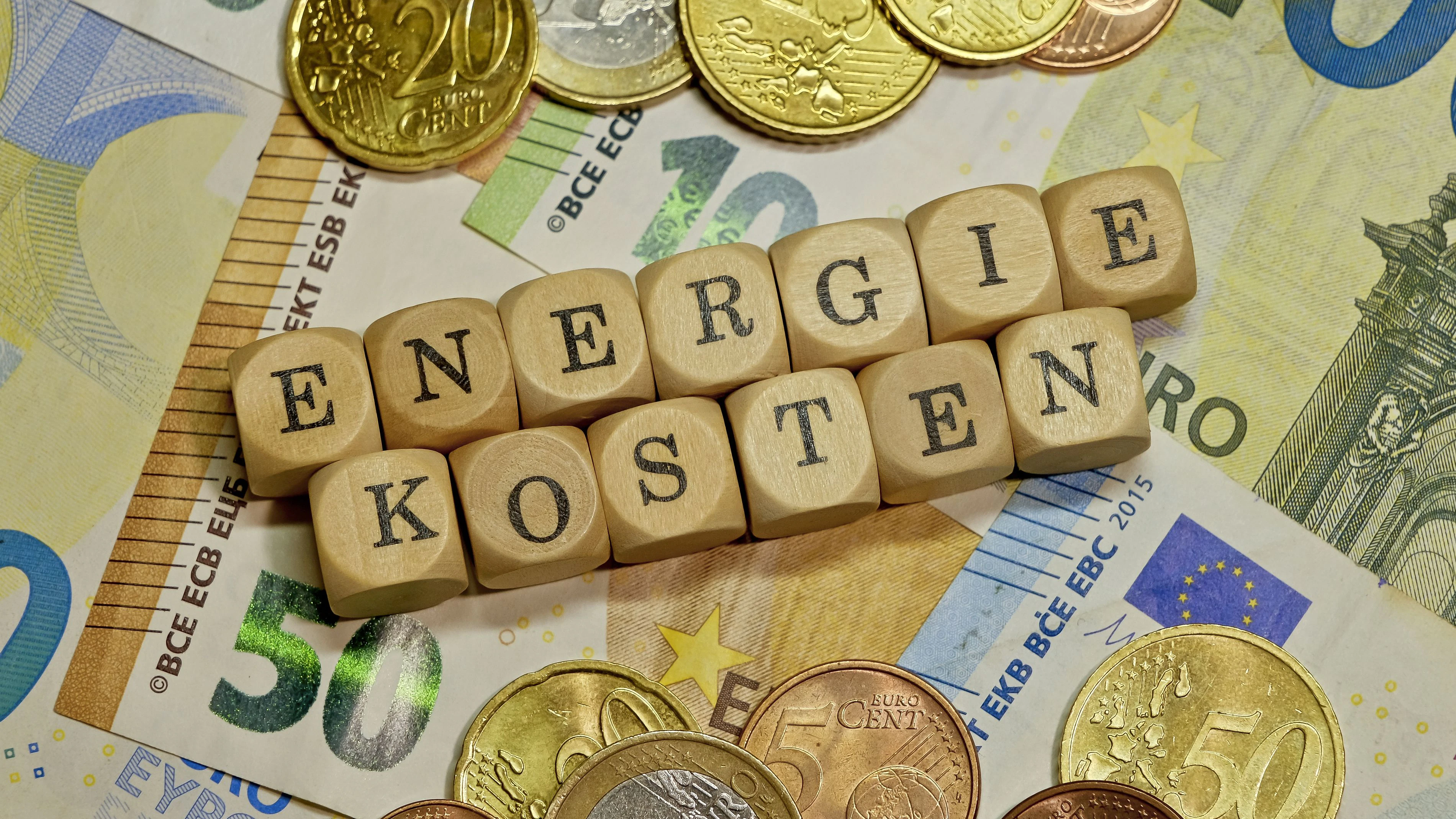 Energiekosten sind im Jahresabstand deutlich gestiegen. Top: Holzpellets mit 31,2 Prozent!