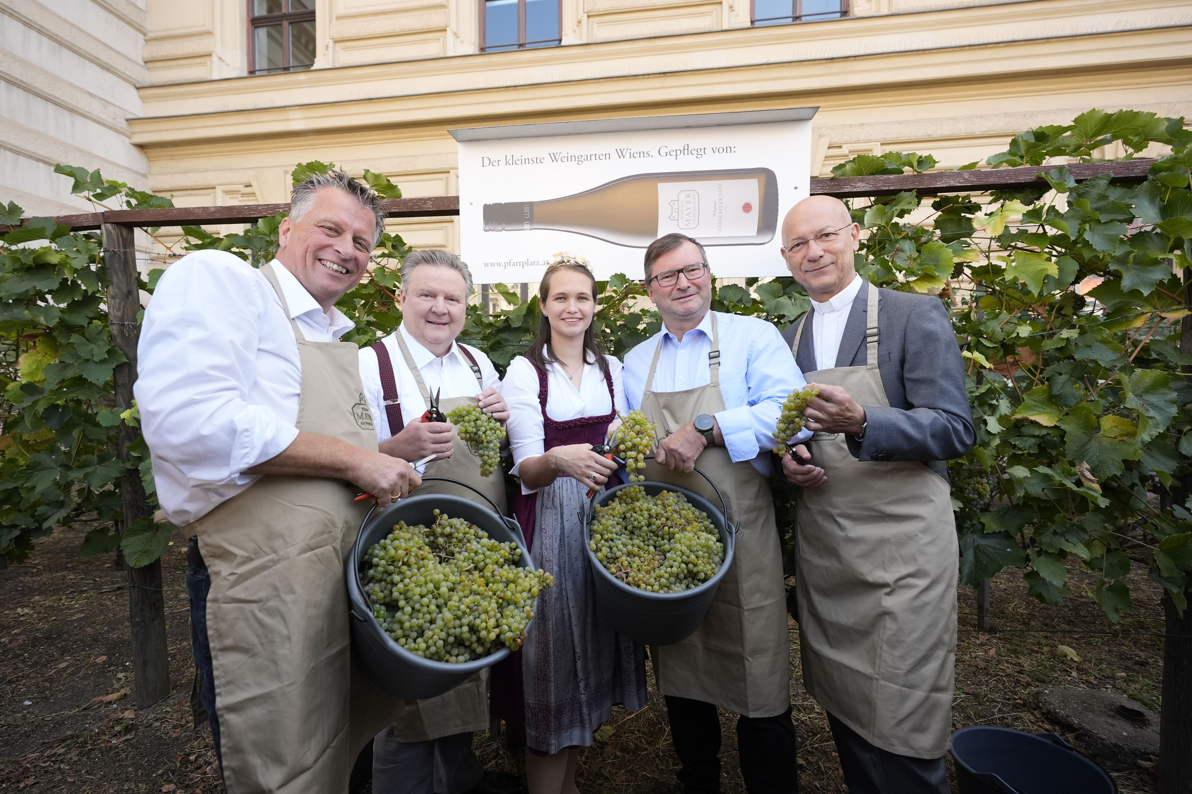 Weinlese am Schwarzenbergplatz: Leiter des Weinguts Mayer am Pfarrplatz Thomas Podsednik, Bürgermeister Michael Ludwig, Weinprinzessin Anna Langes, Präsident des Wiener Weinbauverbandes Norbert Walter und Dompfarrer Toni Faber (v.l.)