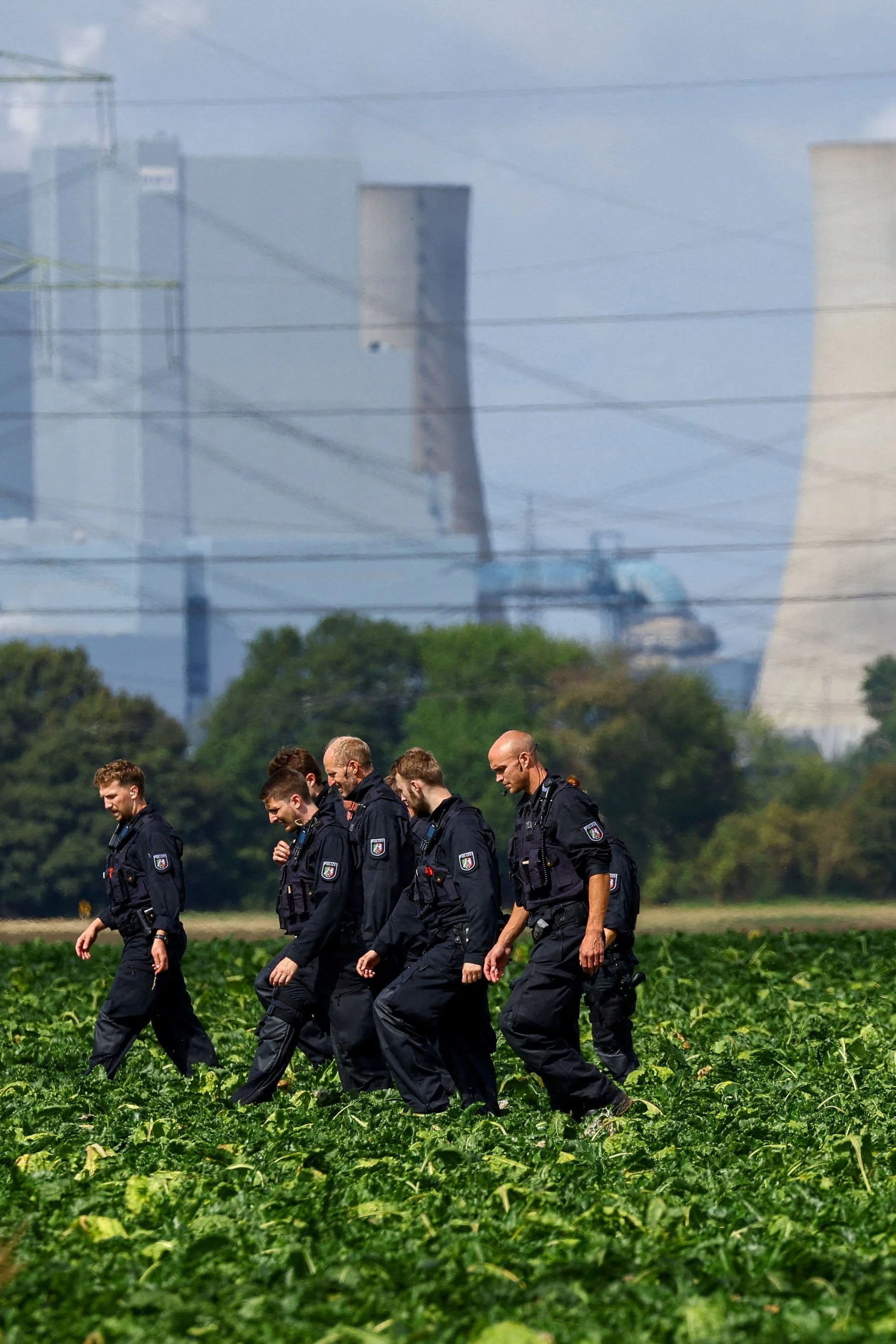 Polizisten durchkämmen ein Feld nahe Bergheim bei Köln nach Spuren jener Täter, die am Dienstag zwei Kohlekraftwerke lahmgelegt haben