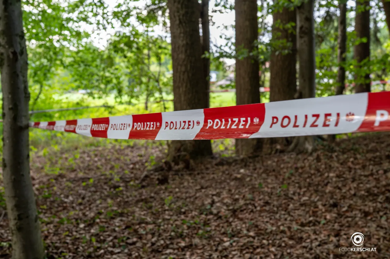 Heute.at - Kinder fanden Leiche – Verdächtiger im Ausland gefasst