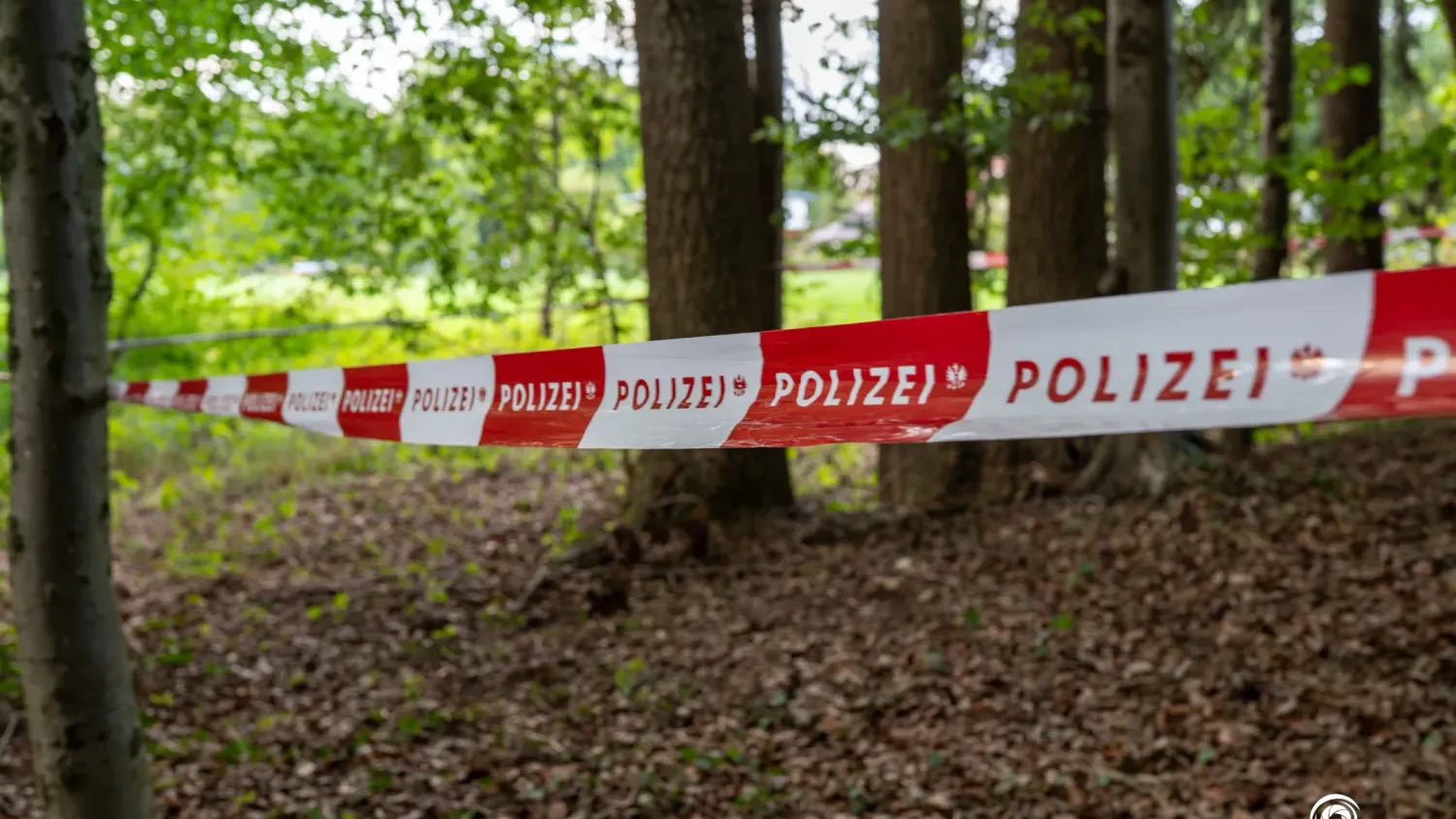 Heute.at - Kinder fanden Leiche – Verdächtiger im Ausland gefasst