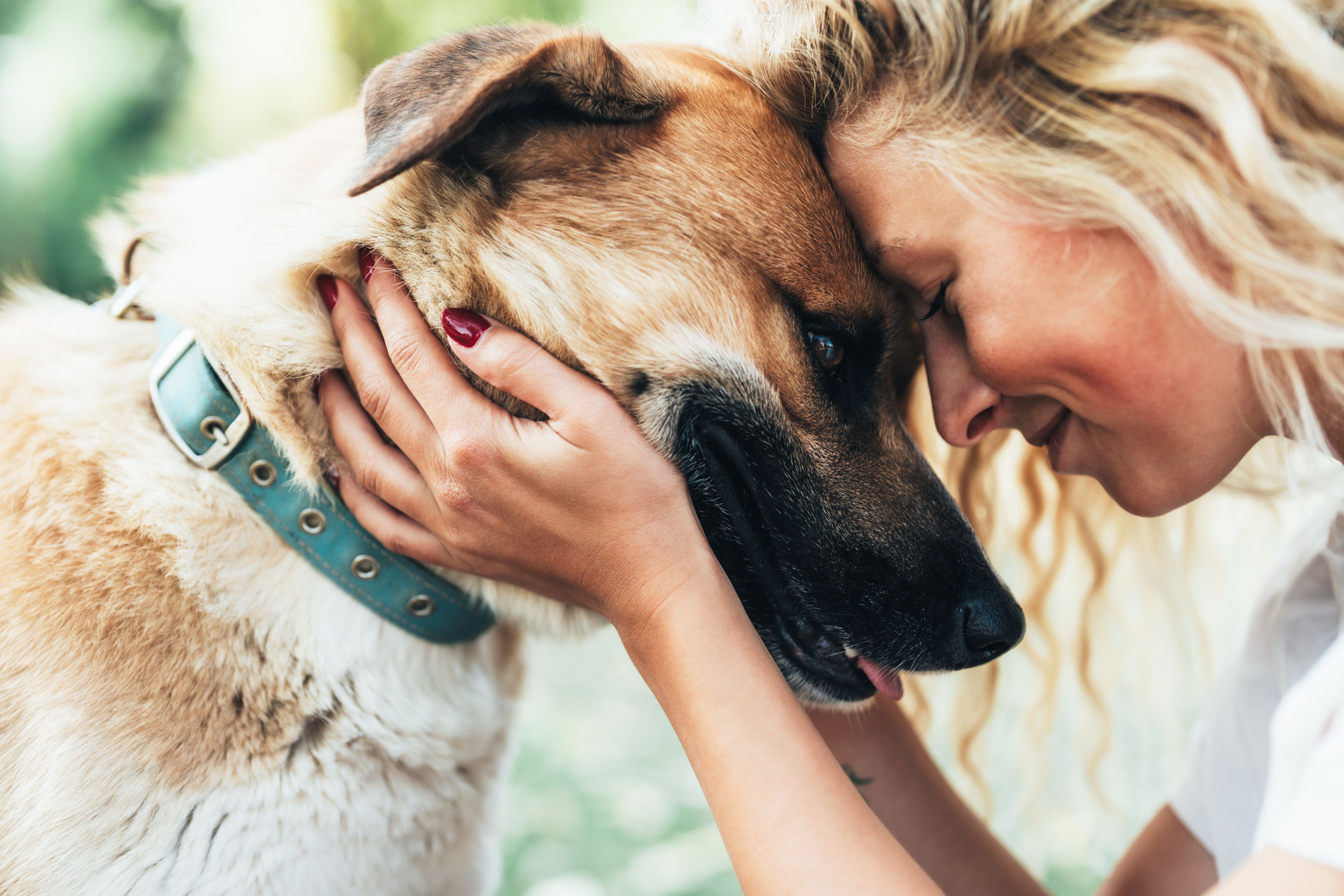 Zwei Hundejahre sind nicht 14 Menschenjahre: Die alte ×7-Regel liegt fast immer daneben. Unser Tool rechnet dir genauer aus, wie alt dein Hund in Menschenjahren ist.