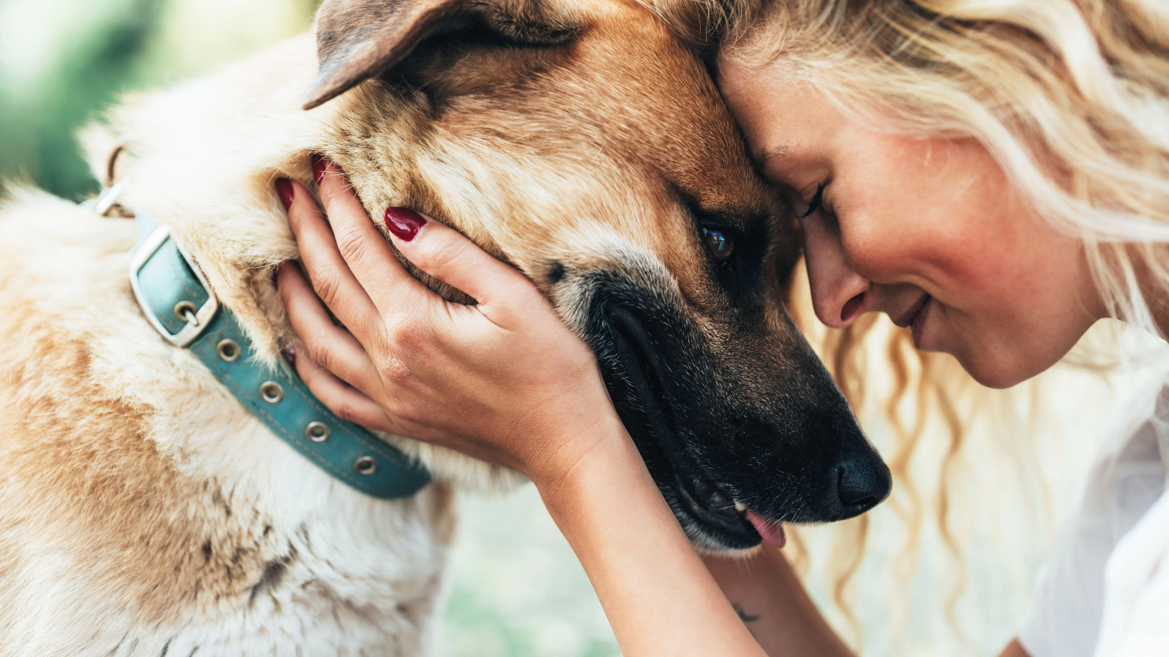 A touching moment of emotional connection as a young woman lovingly presses her forehead against her dog’s, showing the deep friendship, trust, and affection between them.