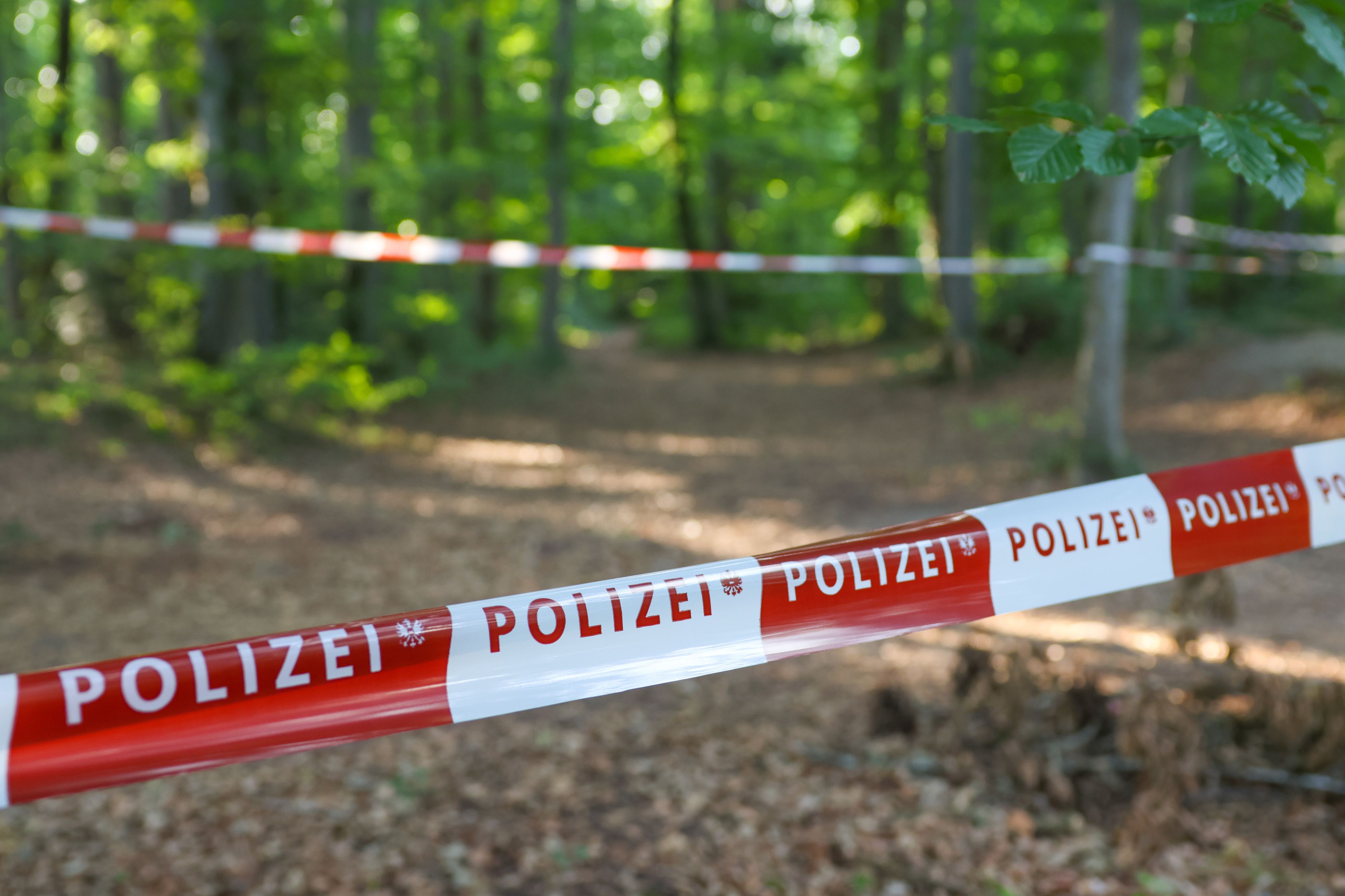 Kinder fanden die tote Frau am Dienstag in einem Wald in Vöcklabruck.