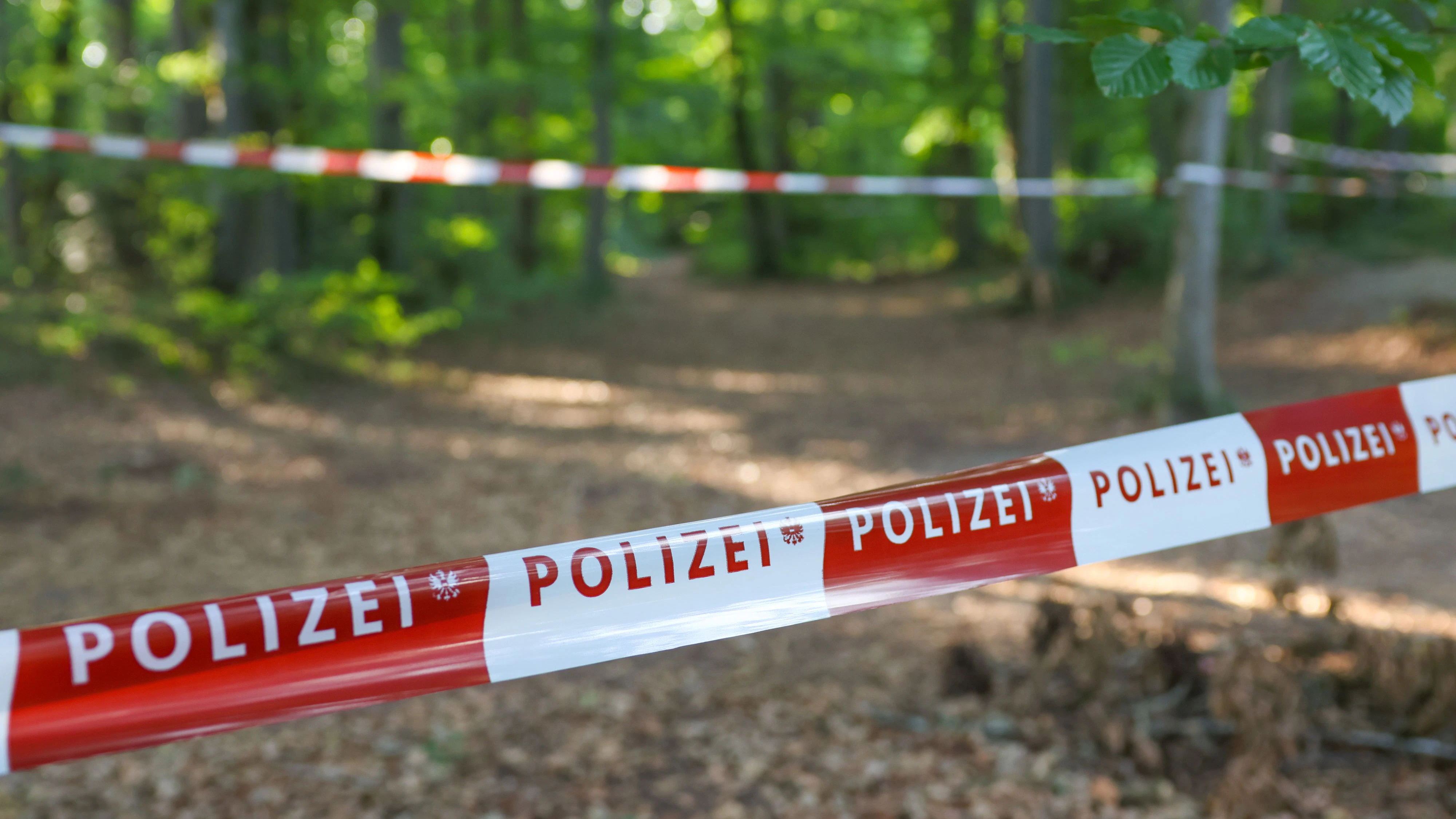 Heute.at - Tote in Wald entdeckt – jetzt ist Obduktionsergebnis da