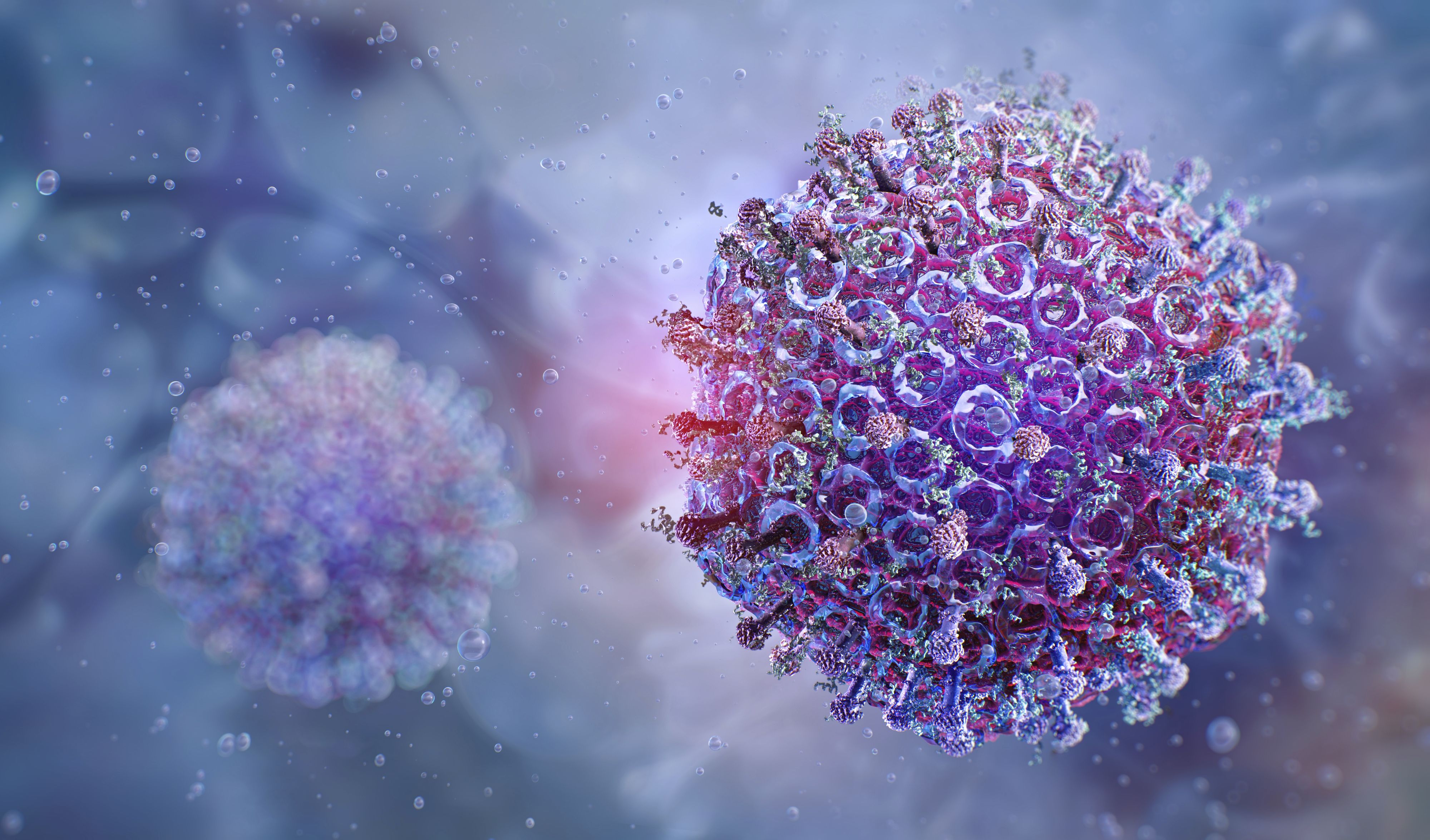 Heute.at - Neuartiges Shamonda-like-Virus breitet sich weiter aus