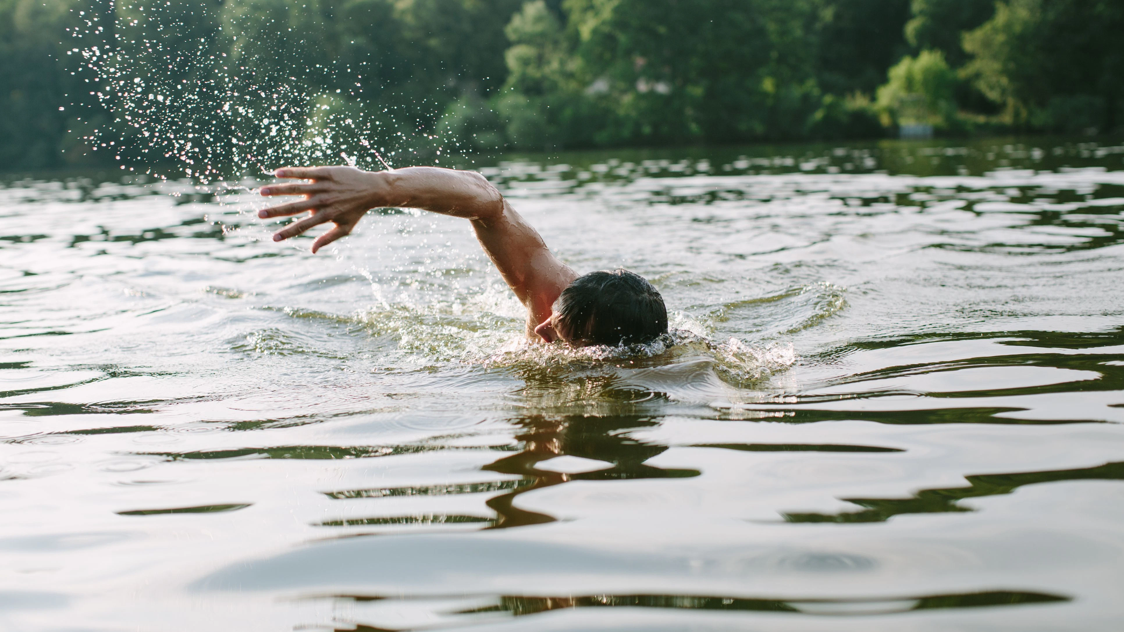 Heute.at - Über 2 Meter! Wer schwimmt – außer mir – im Badesee?