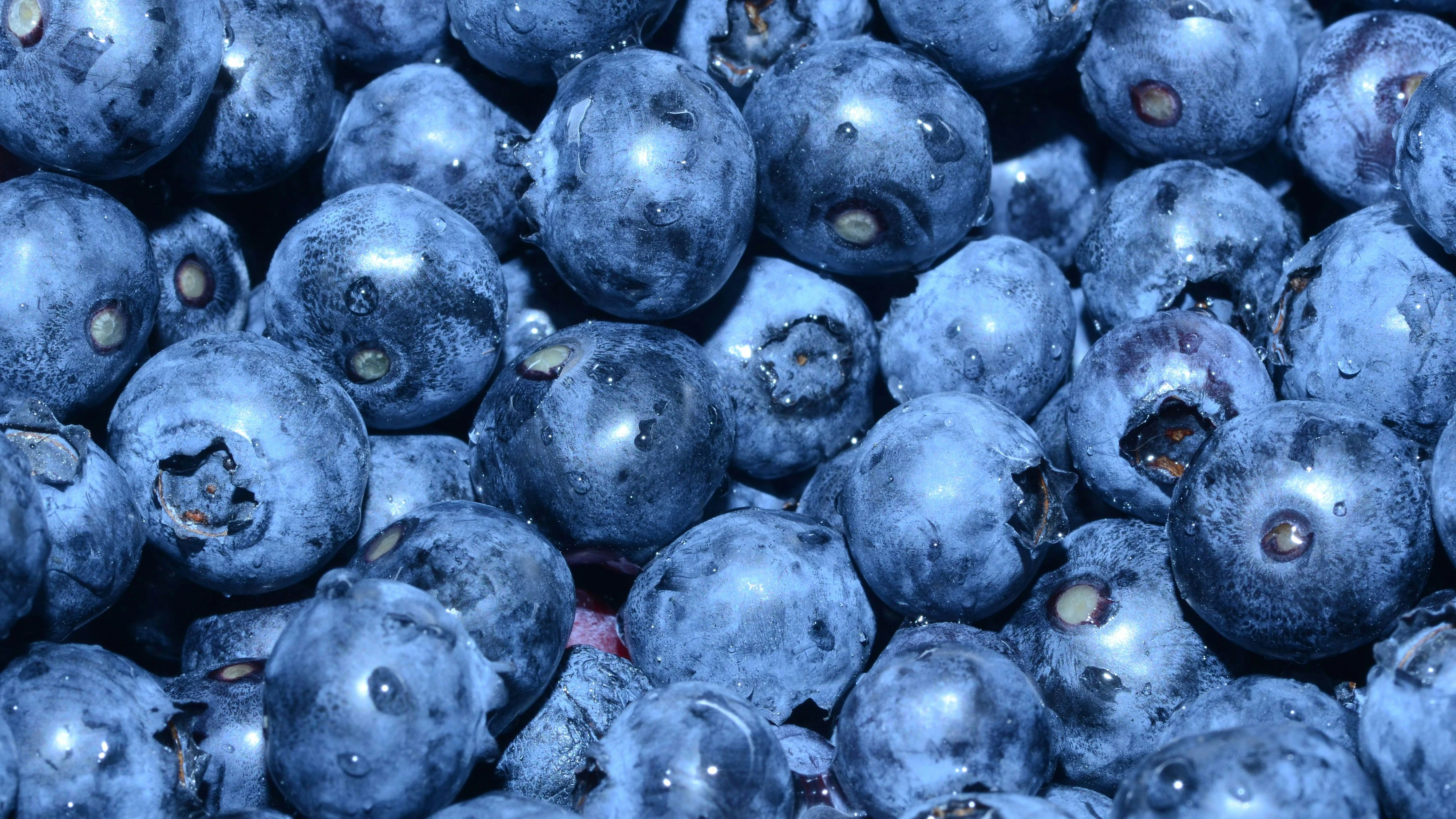 Heidelbeeren