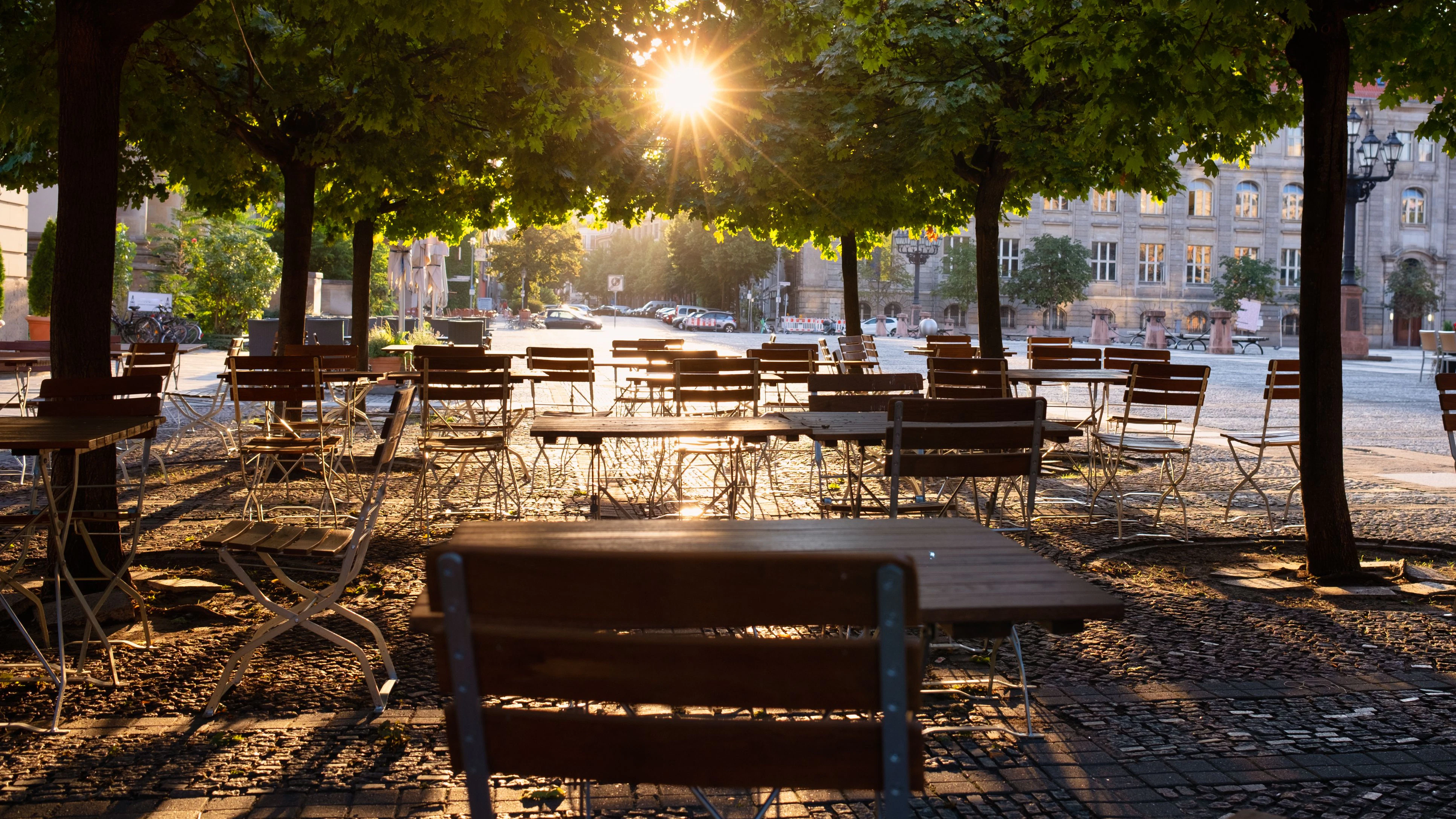 Backlit furniture under green trees in warm morning light