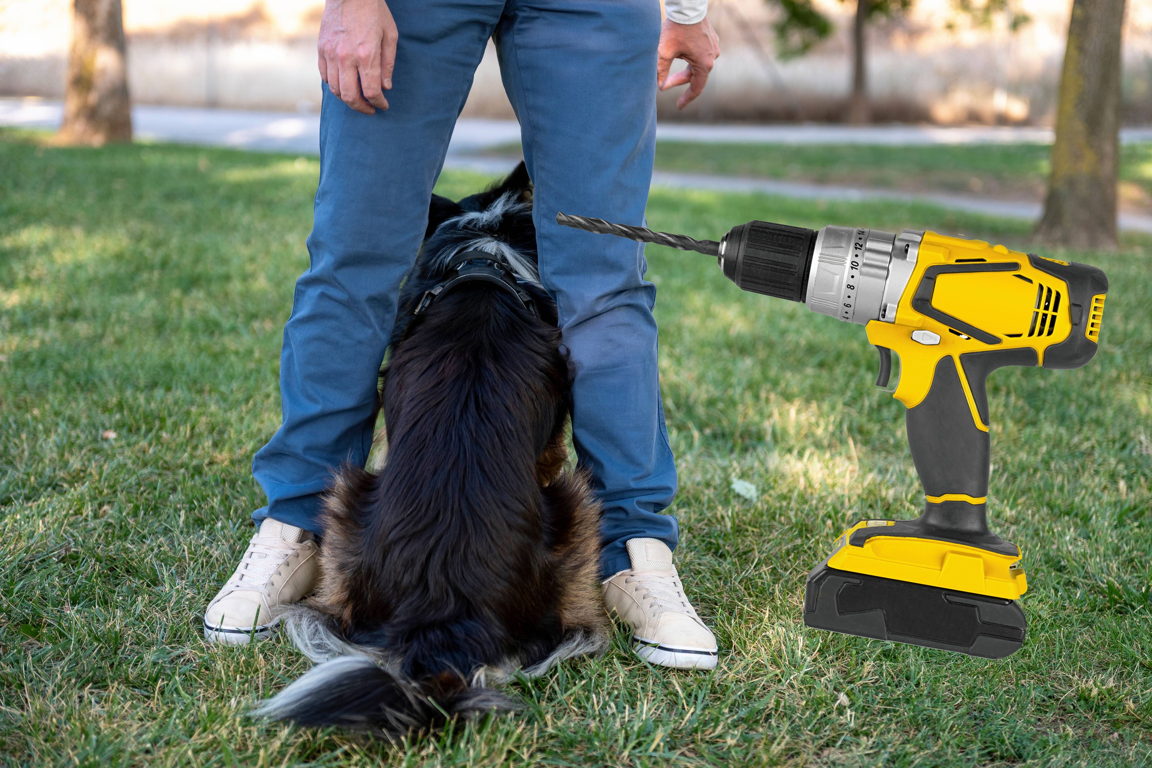 Dem Hund wurden mit dem Bohrer die Fellhaare ausgerissen.