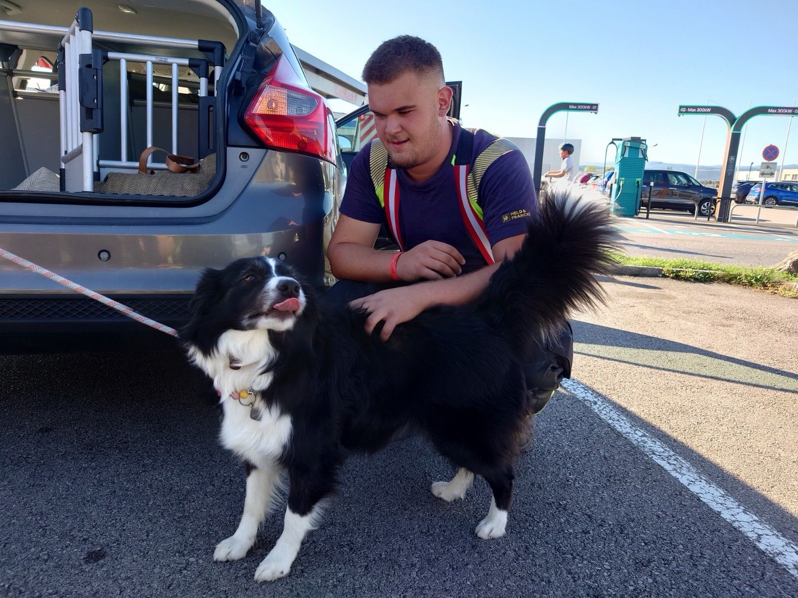 Die Hunde freuten sich über die Rettung der Feuerwehrleute.