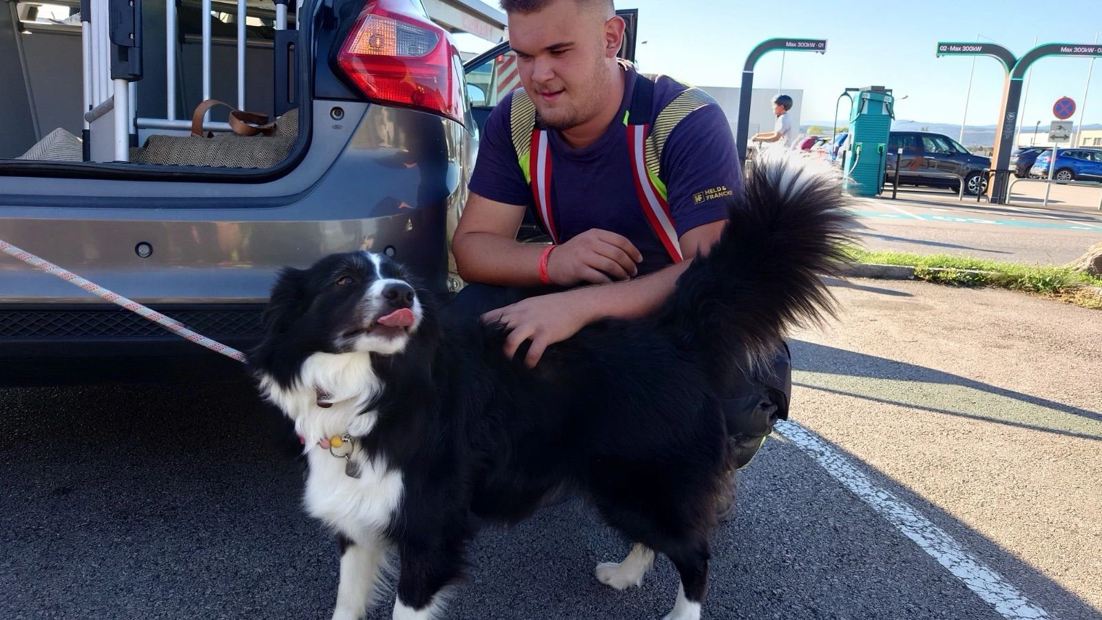 Heute.at - Lebensgefahr! Zwei Hunde aus heißem Auto befreit
