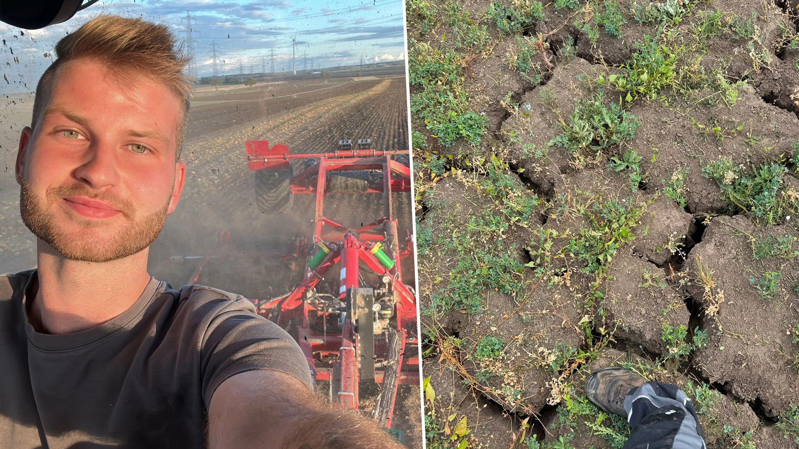 "Bodenlos trocken" – Traktor-Influencer schlägt Alarm