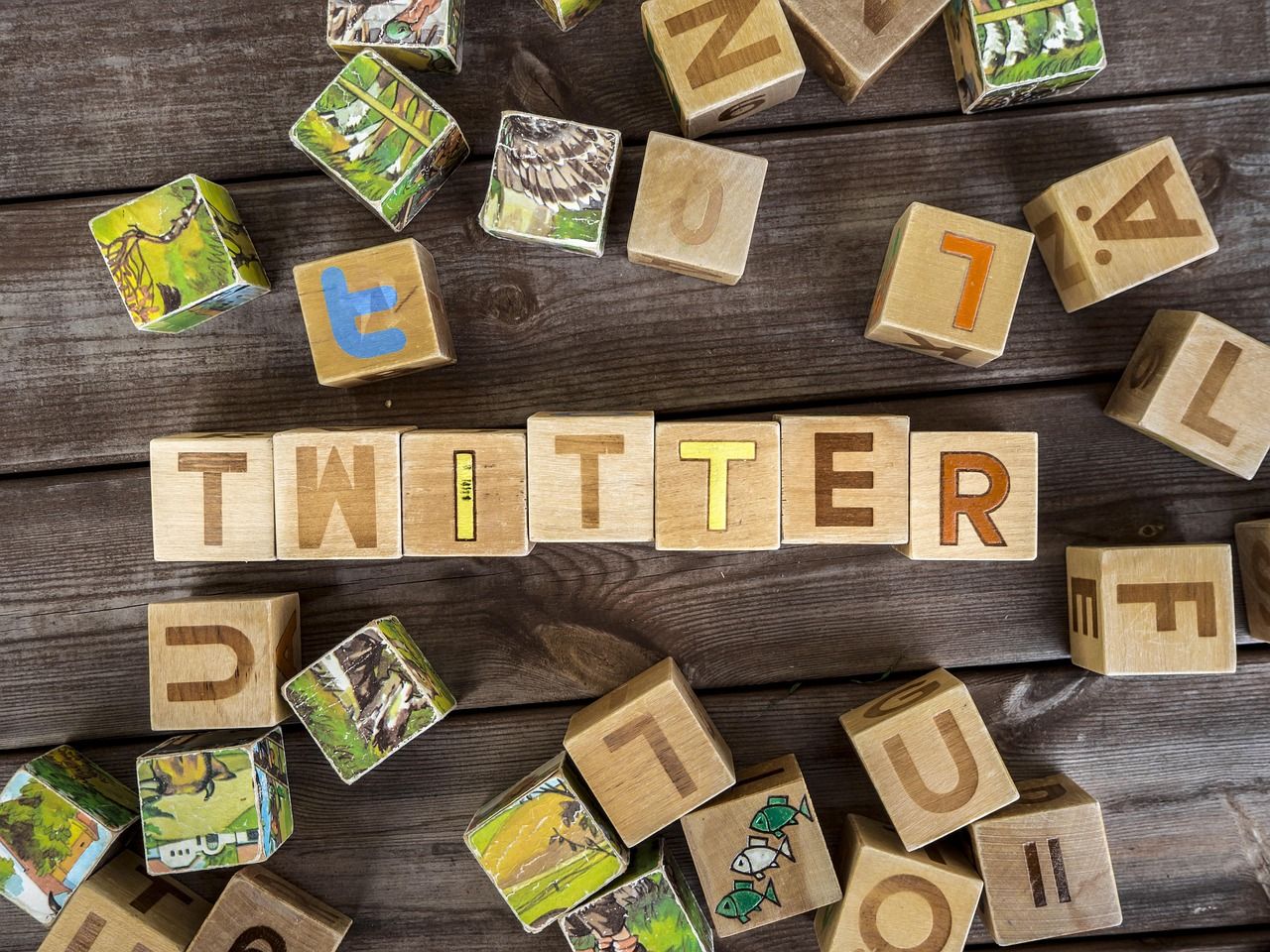 Twitter-Logo mit Holzblöcken