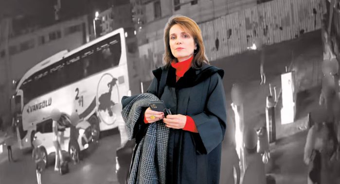 Astrid Wagner hatte Berkan C als ihren Mandanten, vertrat ihn beim Prozess in Wien