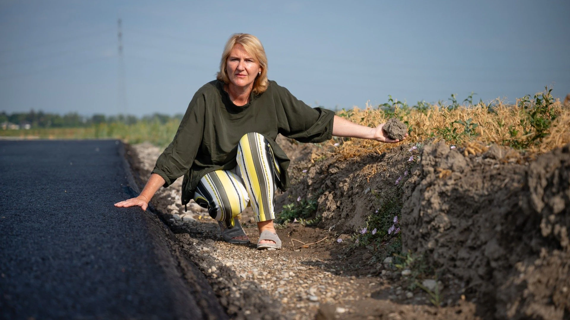 Helga Krismer, Klubobfrau der Grünen im NÖ Landtag,